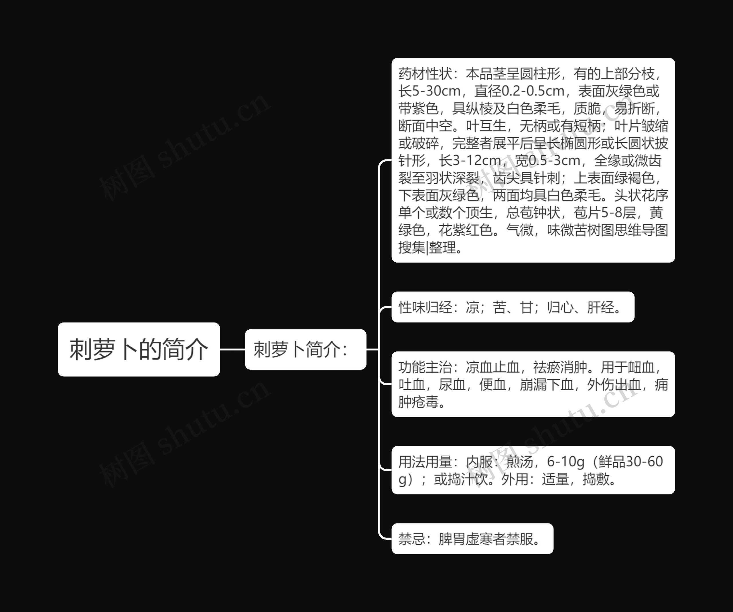 刺萝卜的简介