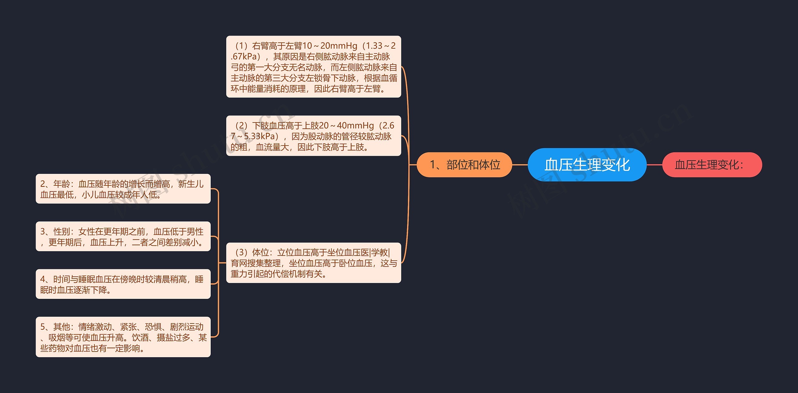 血压生理变化