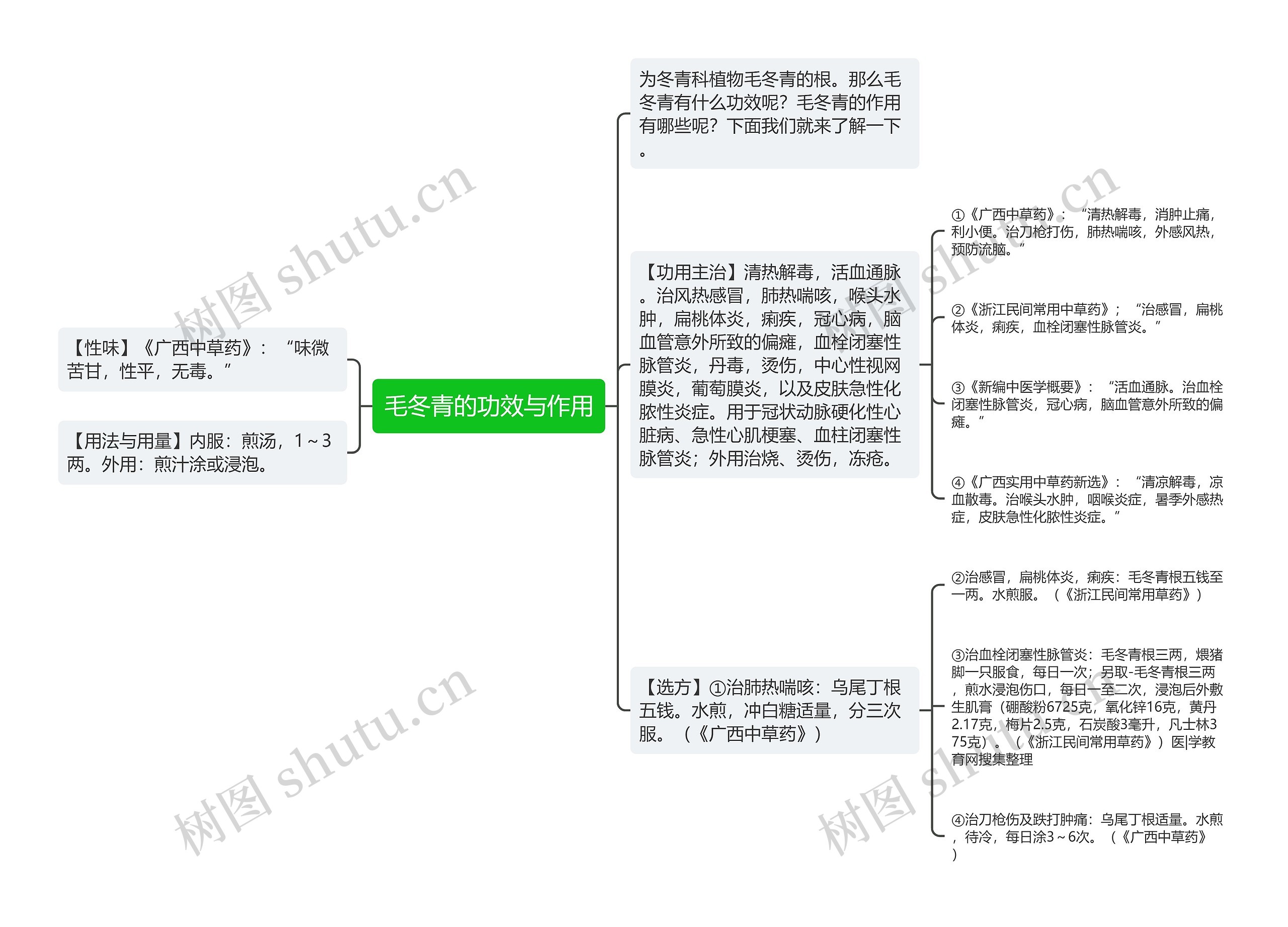 毛冬青的功效与作用思维导图