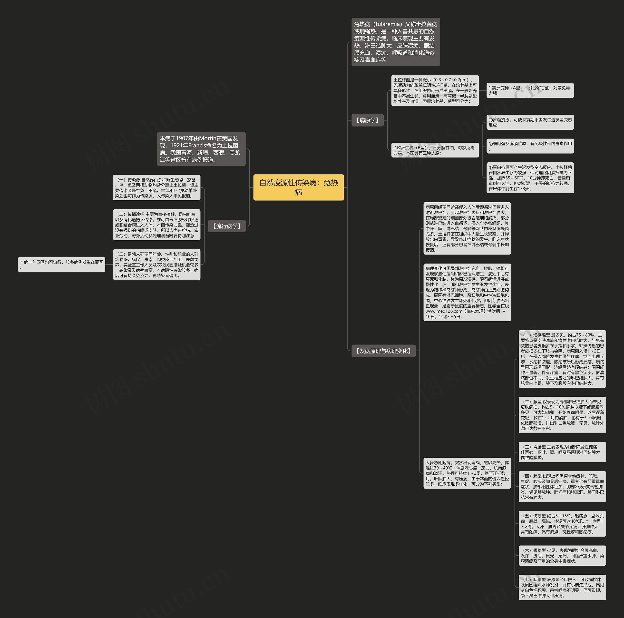自然疫源性传染病：兔热病思维导图