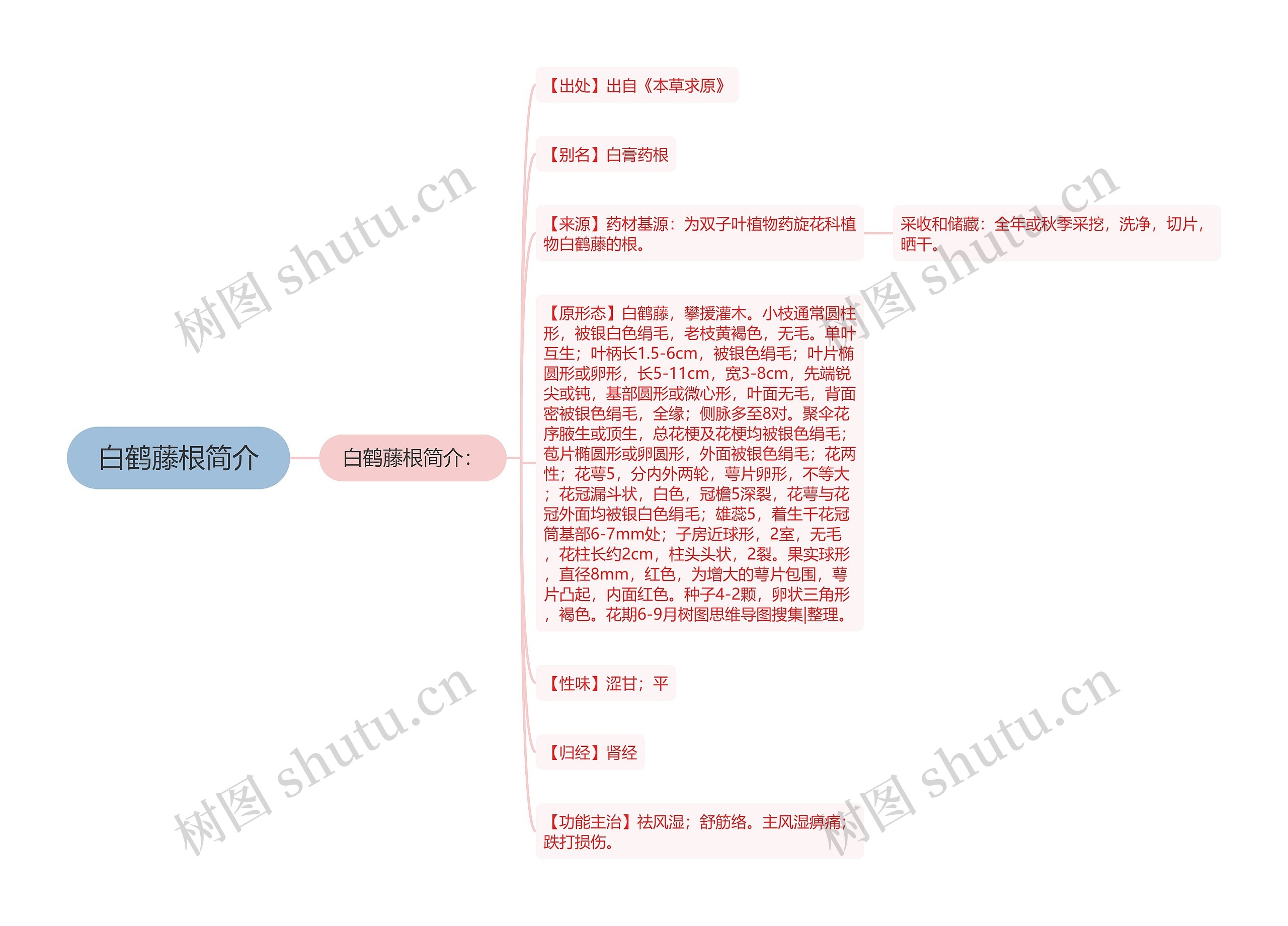 白鹤藤根简介思维导图