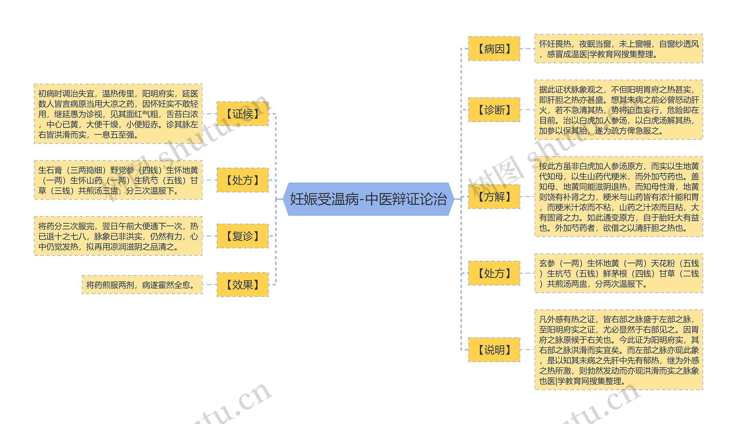 妊娠受温病-中医辩证论治思维导图