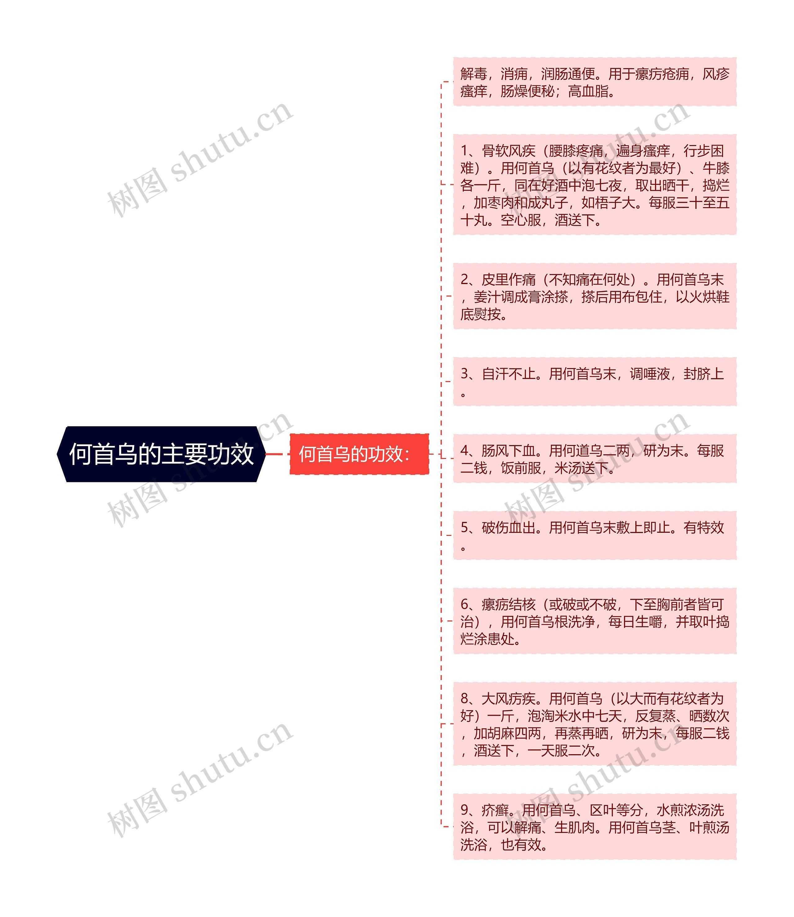 何首乌的主要功效思维导图