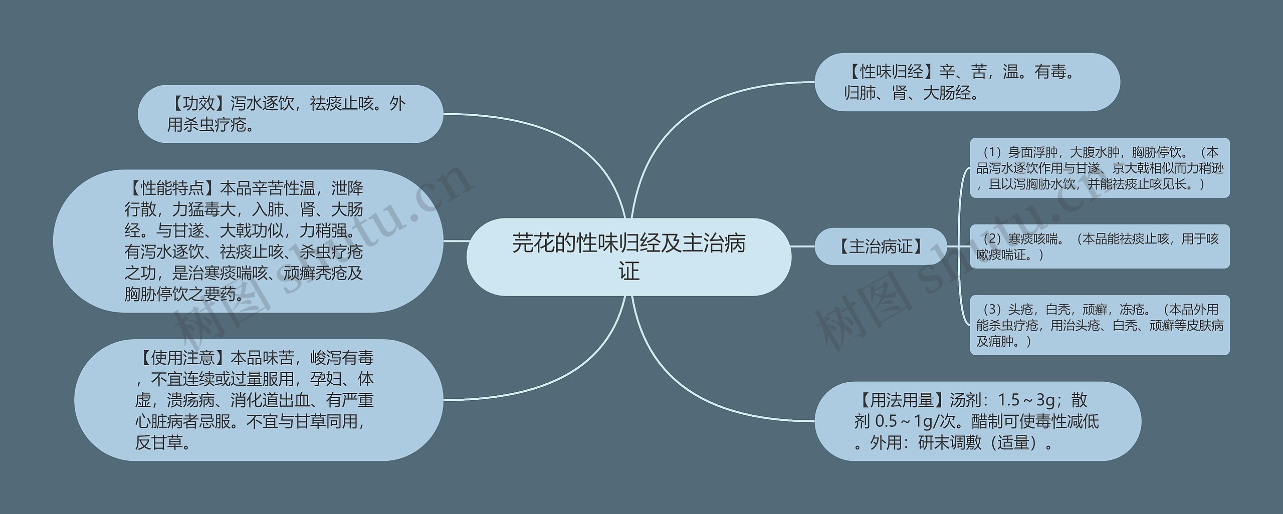 芫花的性味归经及主治病证思维导图