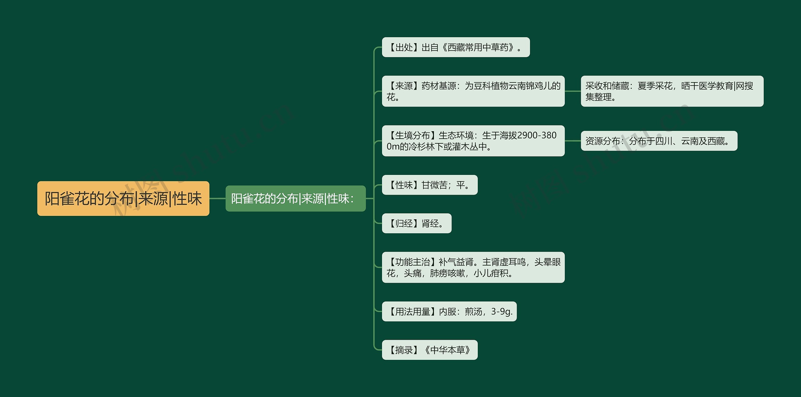 阳雀花的分布|来源|性味思维导图