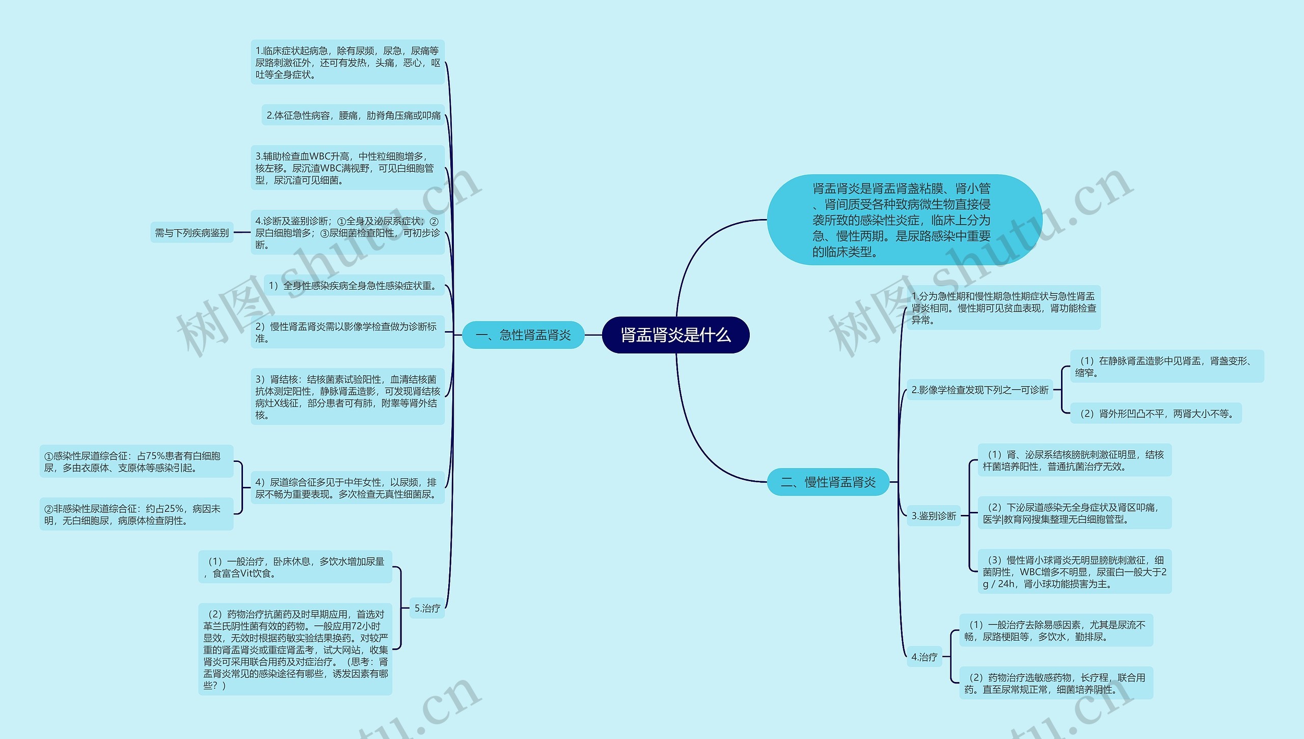 肾盂肾炎是什么思维导图