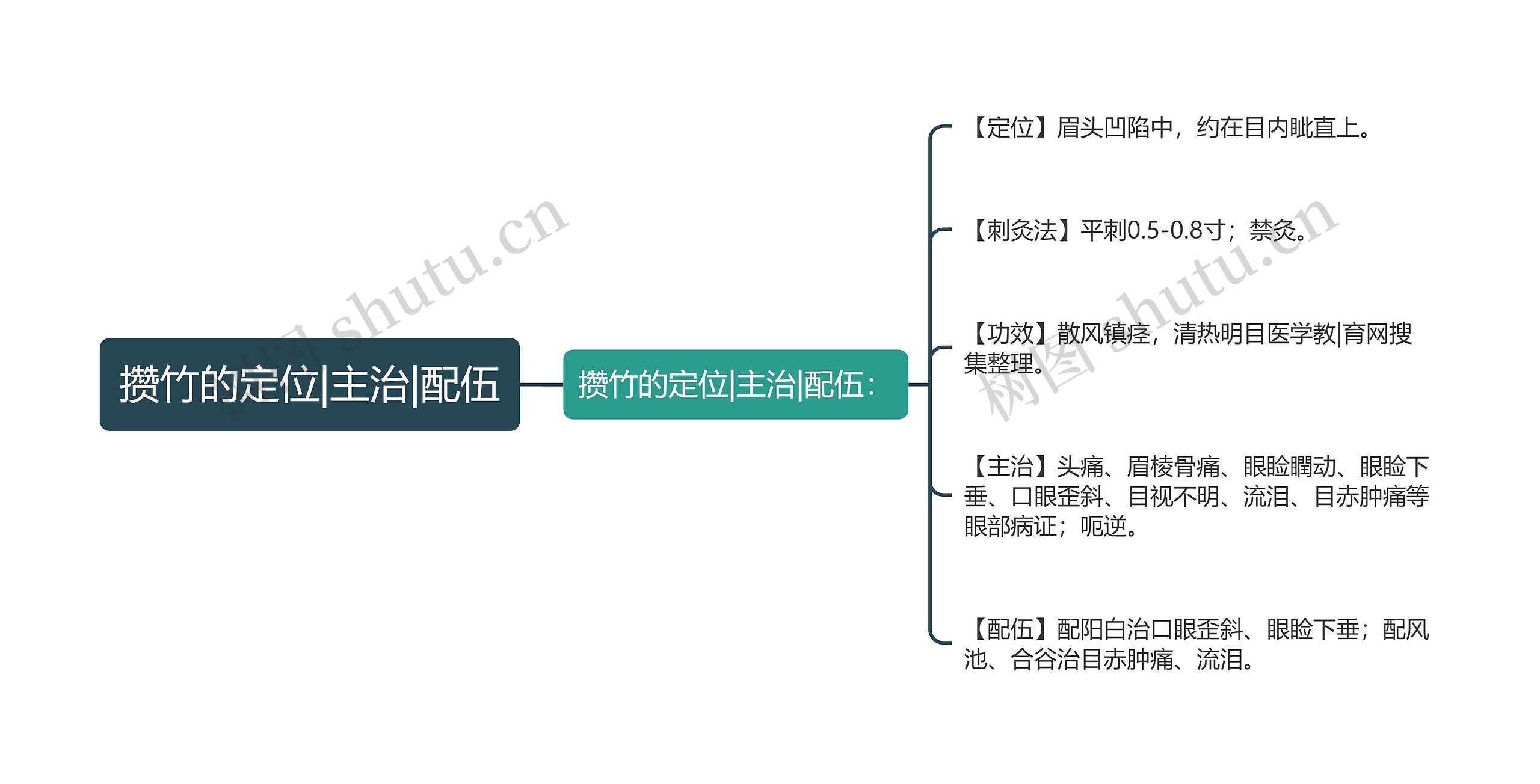 攒竹的定位|主治|配伍思维导图