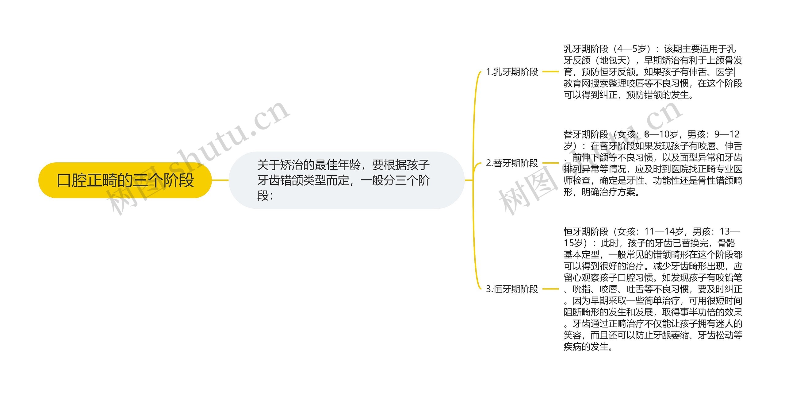 口腔正畸的三个阶段思维导图