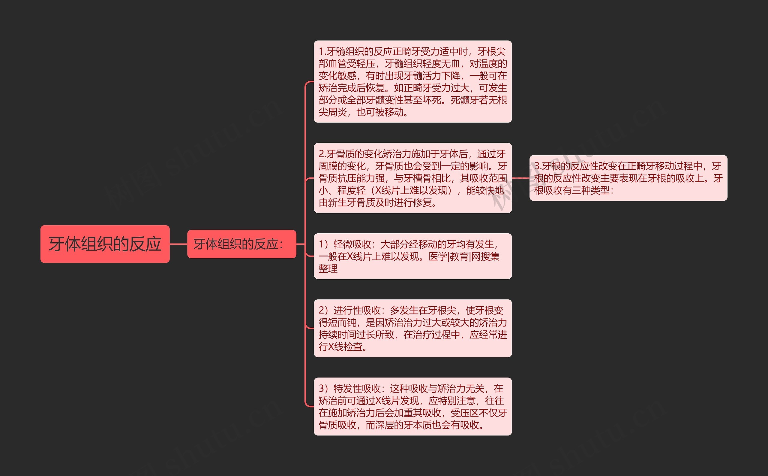 牙体组织的反应思维导图