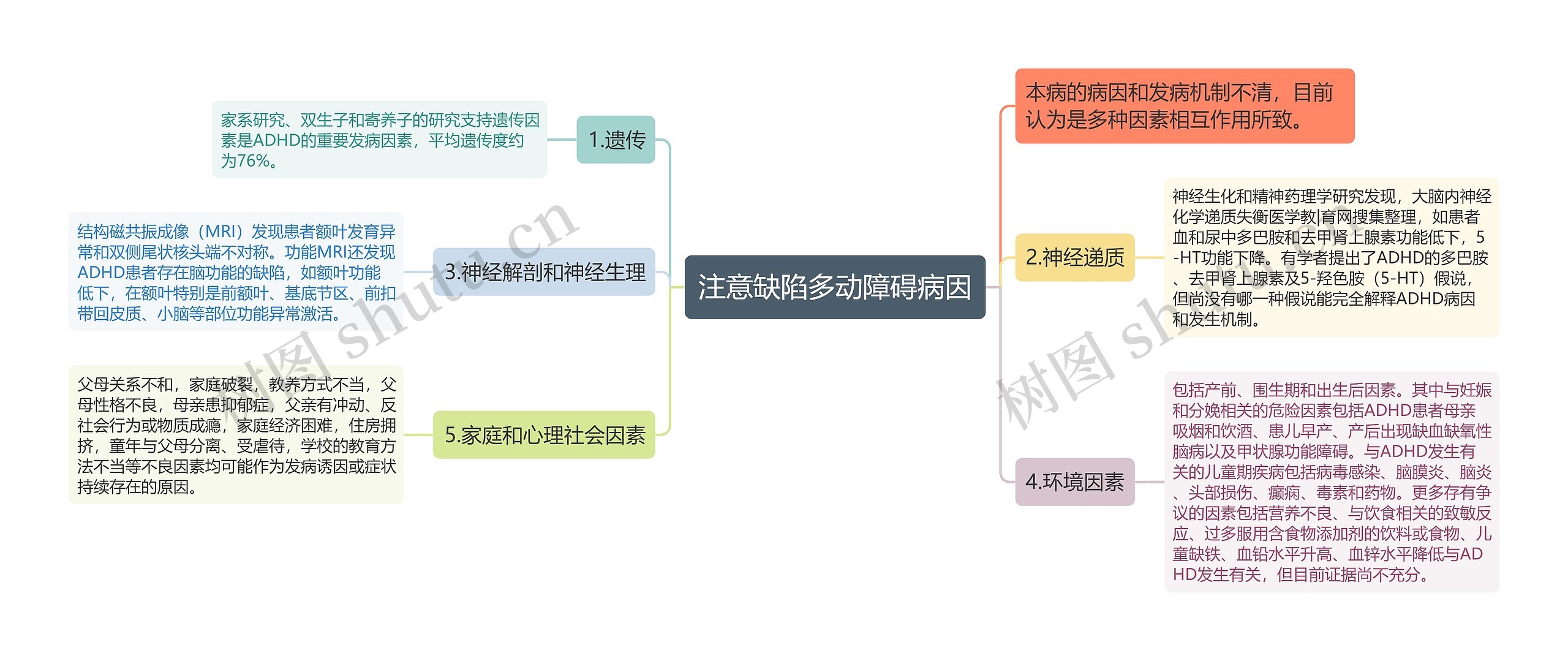 注意缺陷多动障碍病因