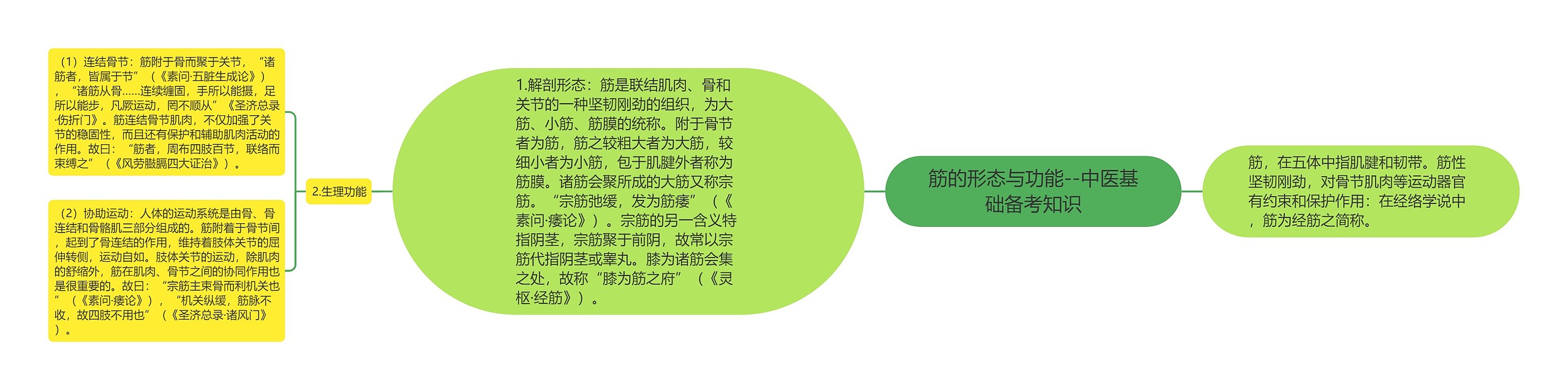 筋的形态与功能--中医基础备考知识思维导图