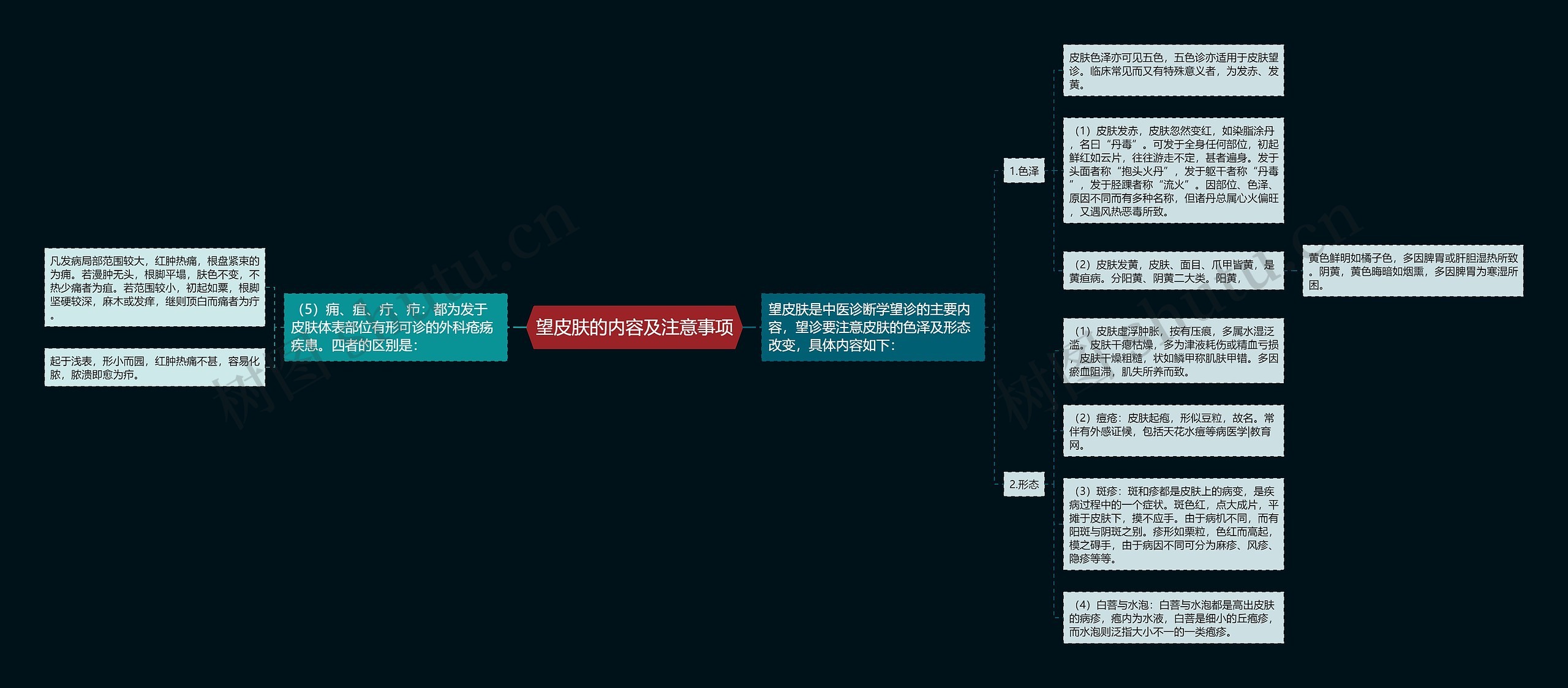 望皮肤的内容及注意事项思维导图