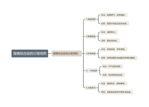 肾病综合症的分型用药