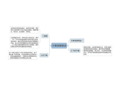 大唾液腺概述