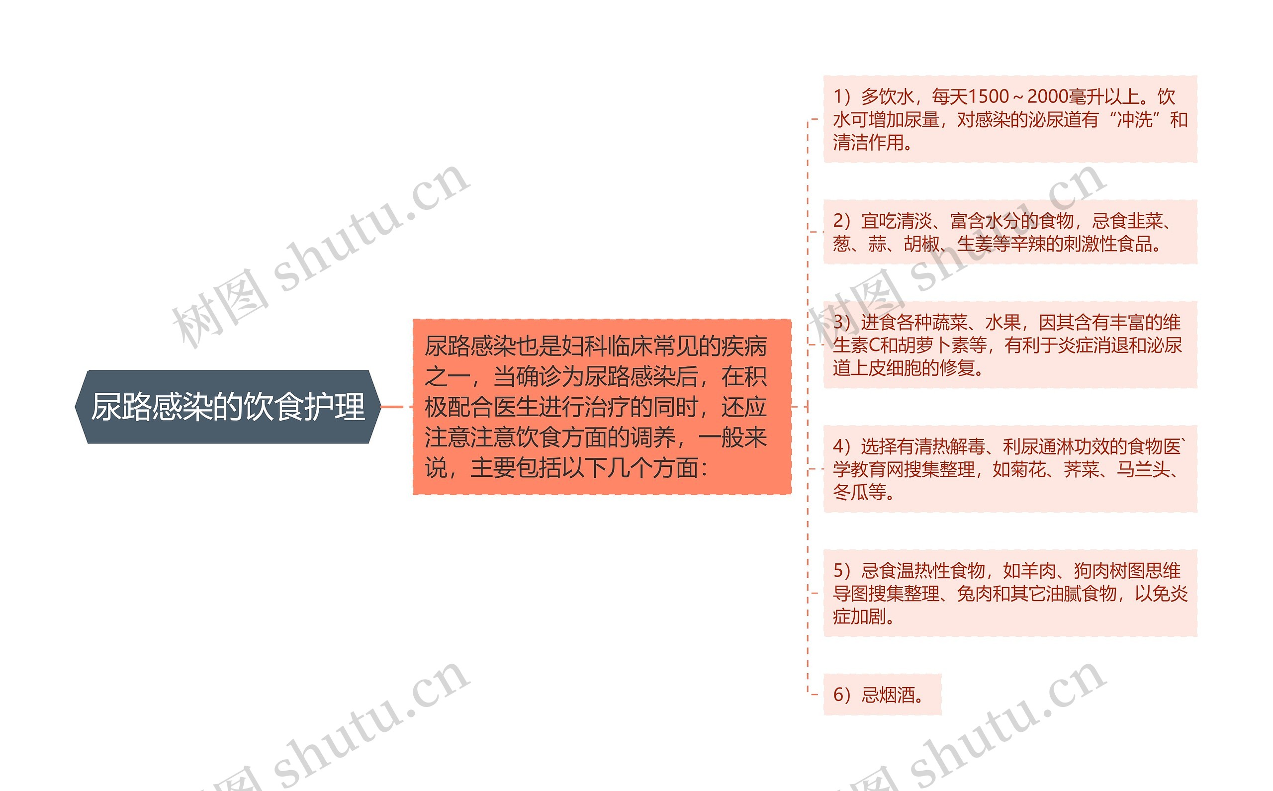 尿路感染的饮食护理思维导图