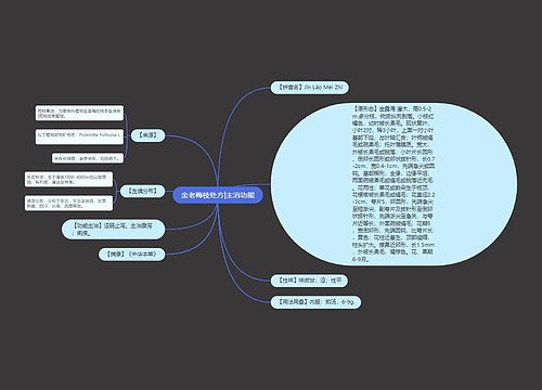 金老梅枝处方|主治功能