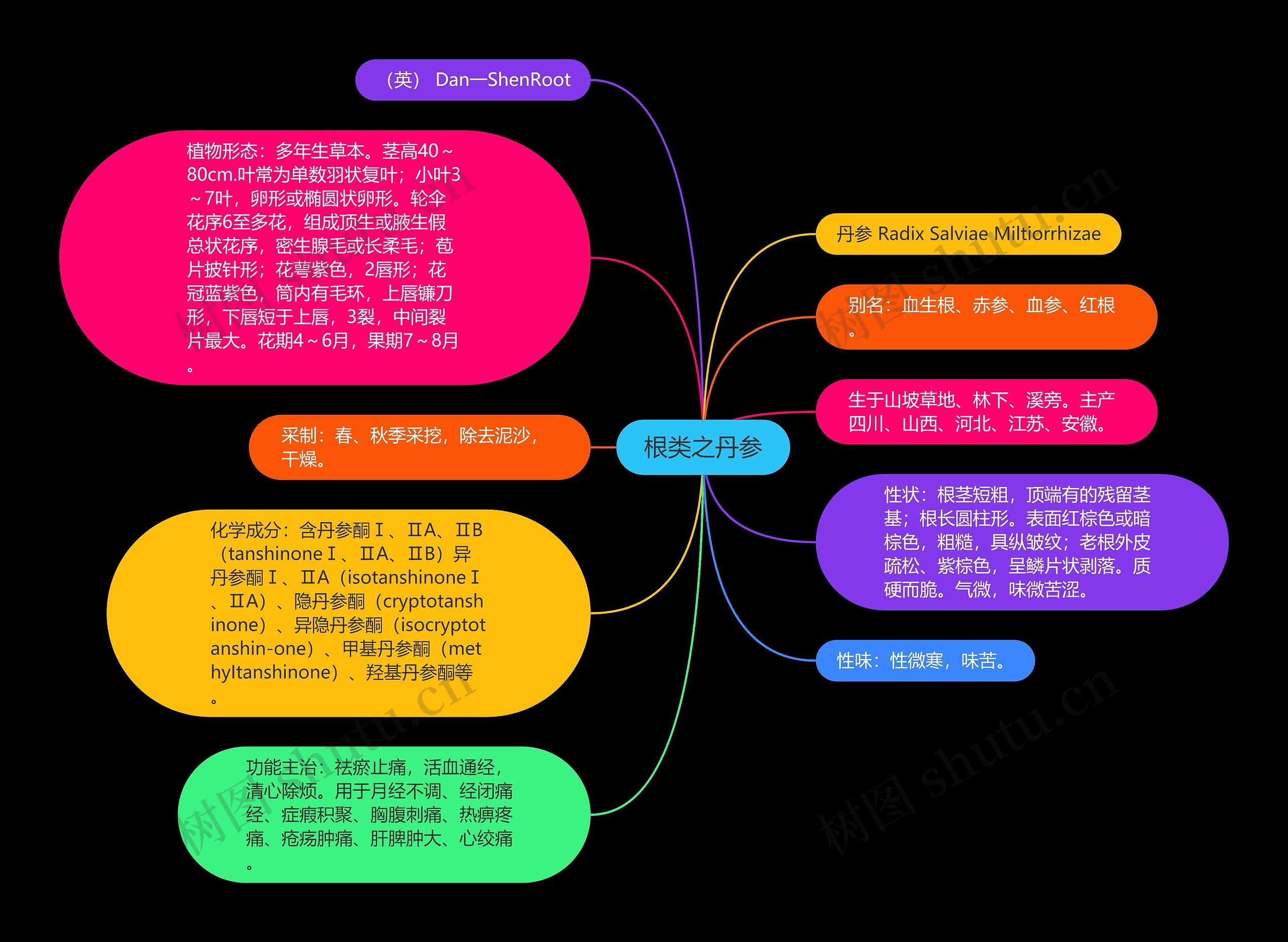 根类之丹参思维导图