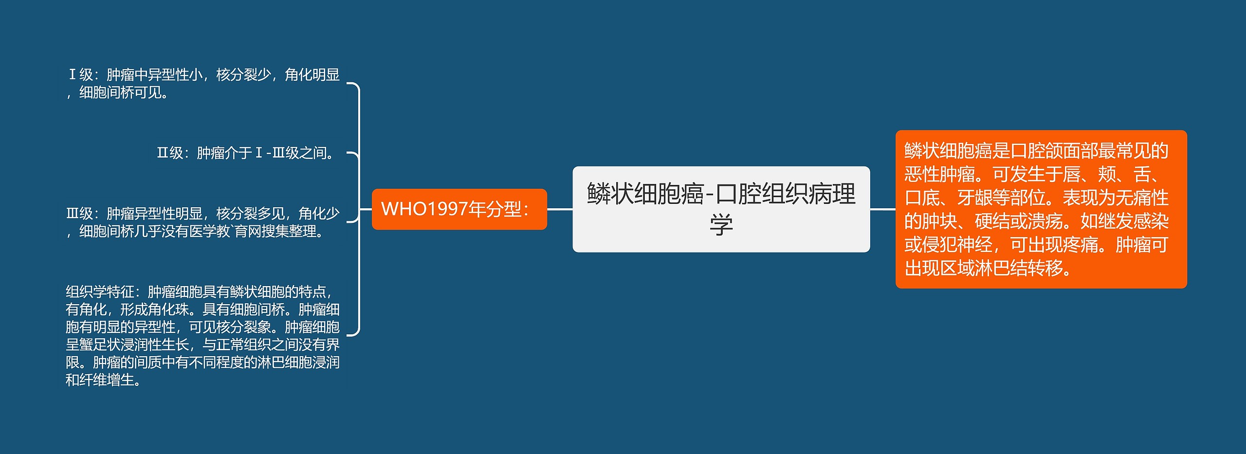 鳞状细胞癌-口腔组织病理学 鳞状细胞癌-口腔组织病理学