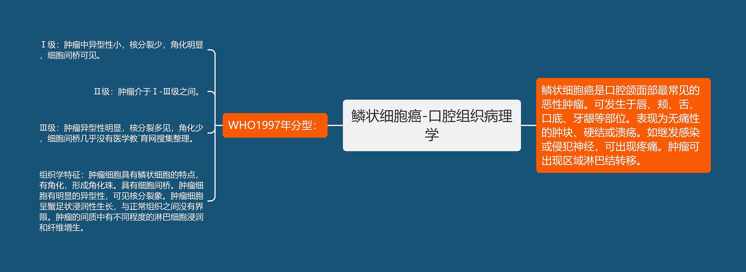 鳞状细胞癌-口腔组织病理学思维导图
