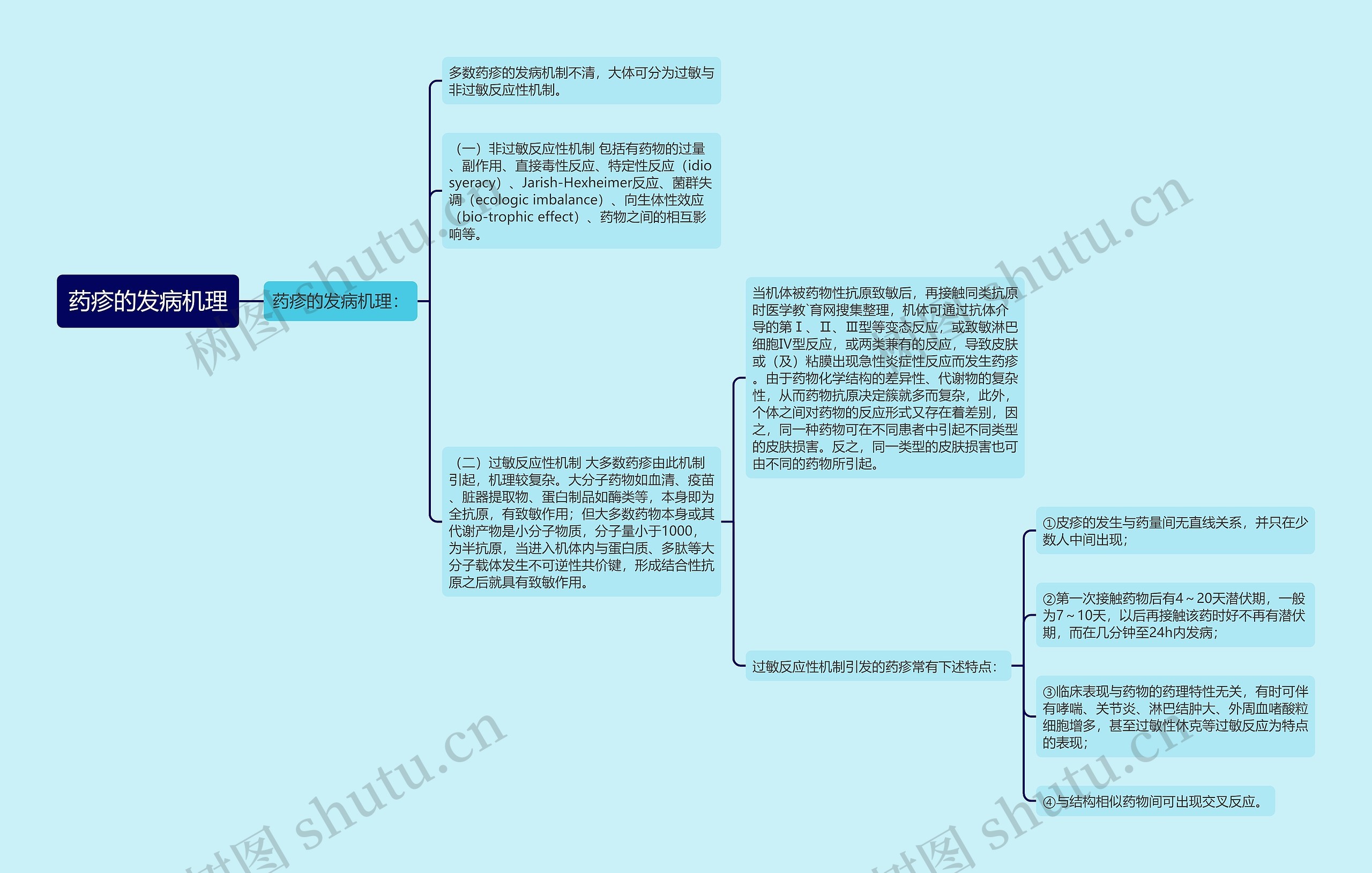 药疹的发病机理思维导图