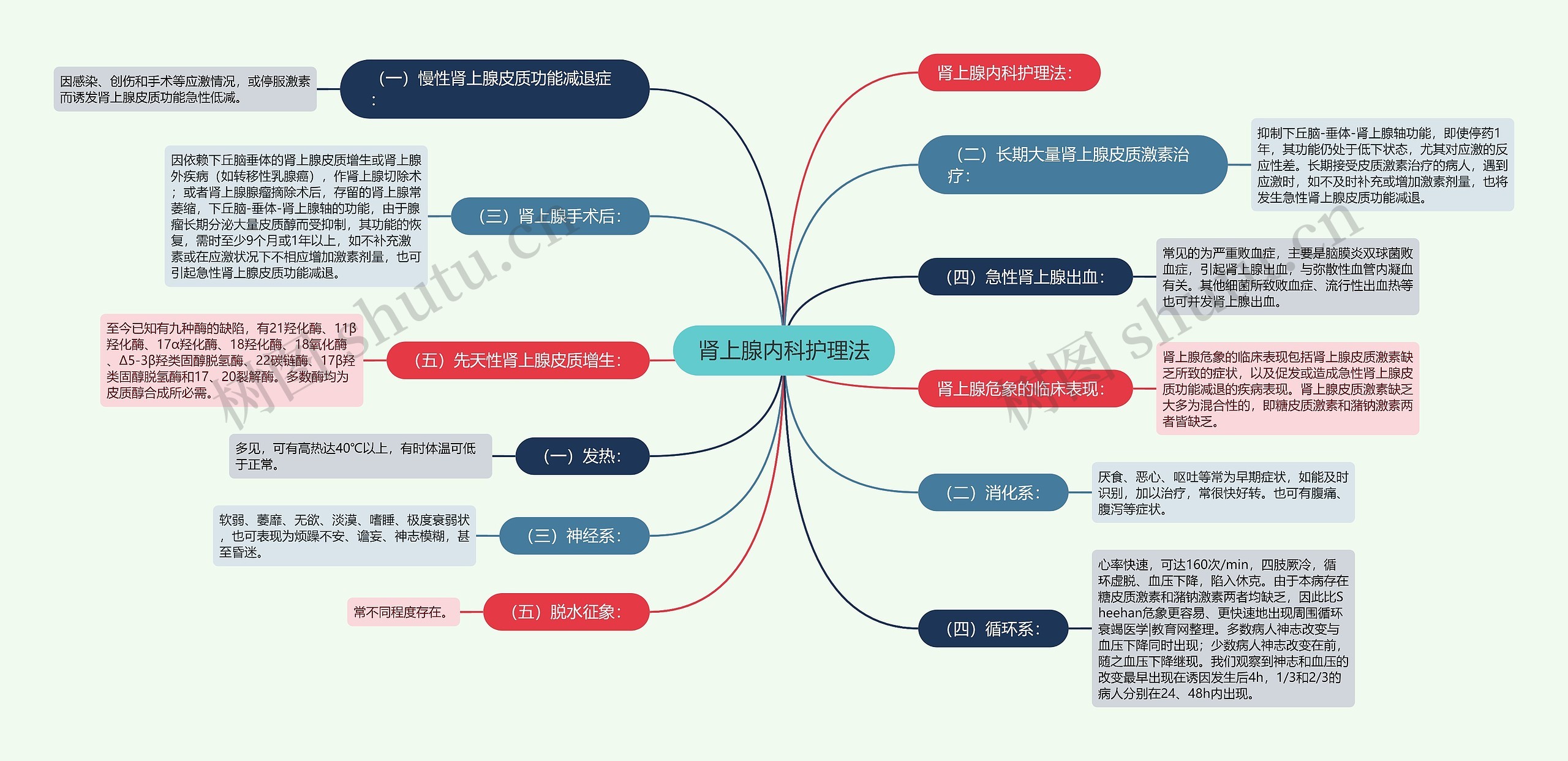 肾上腺内科护理法思维导图