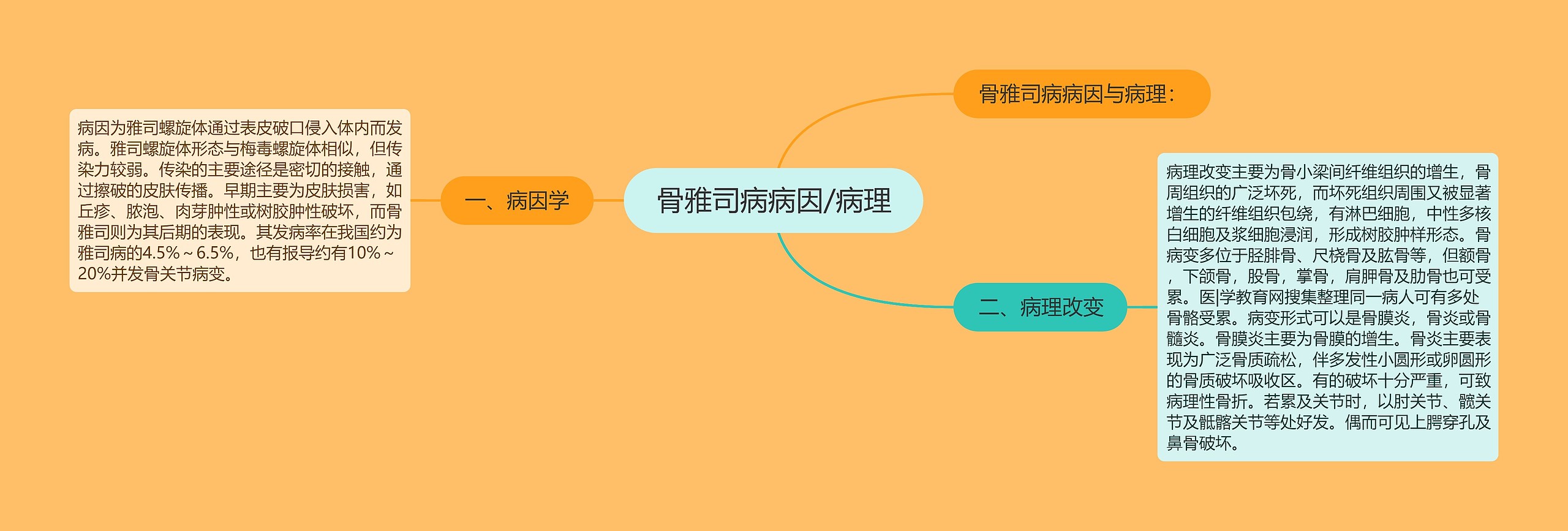 骨雅司病病因/病理 骨雅司病病因/病理