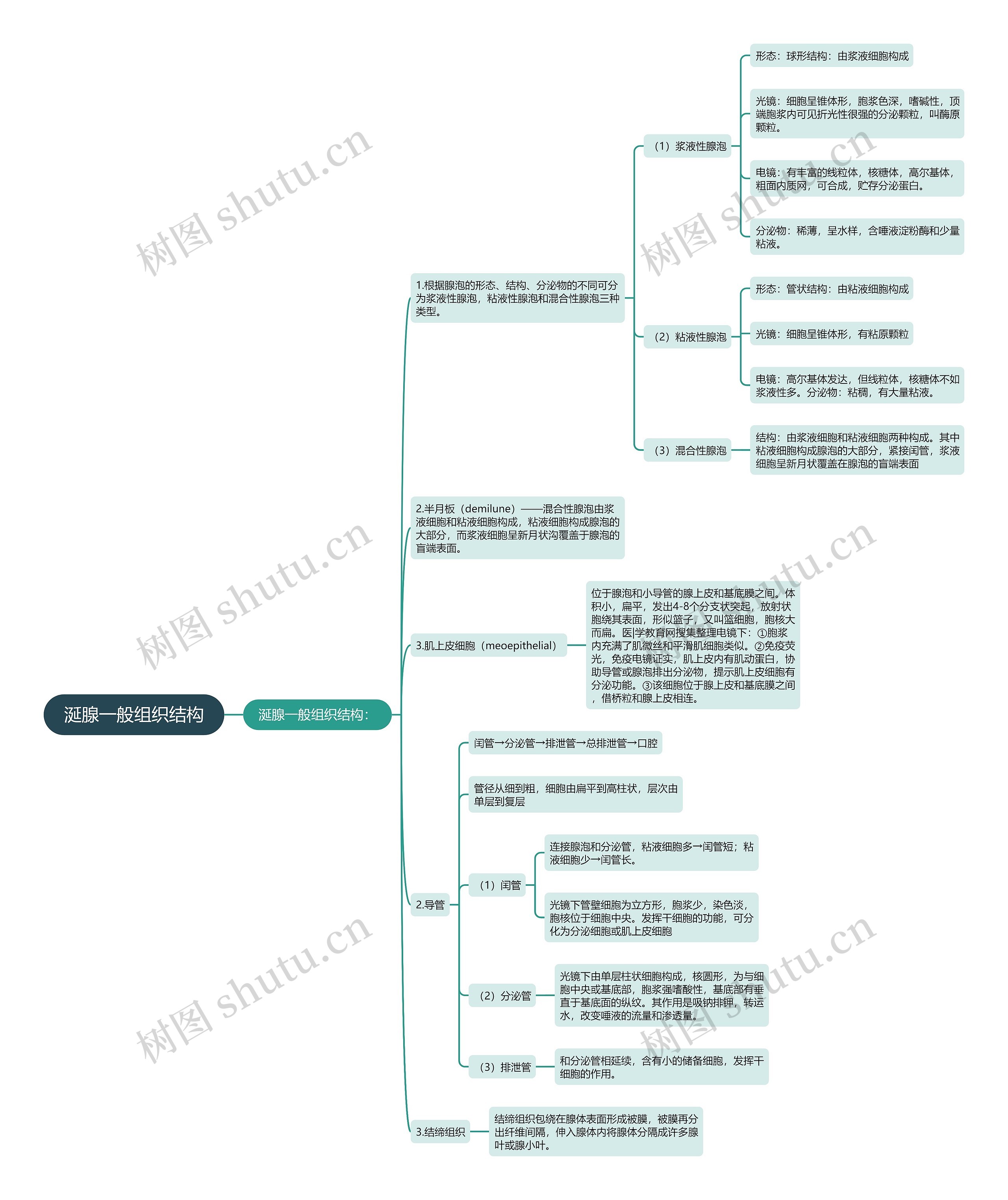 涎腺一般组织结构思维导图