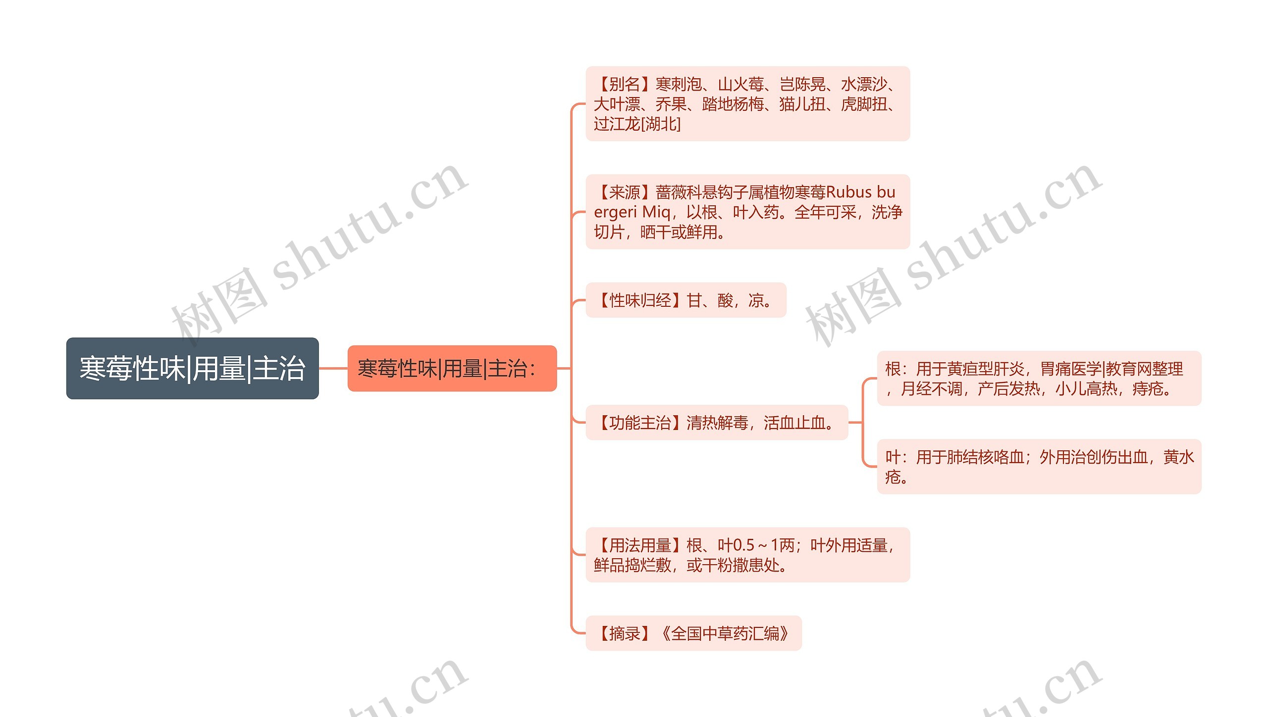 寒莓性味|用量|主治思维导图