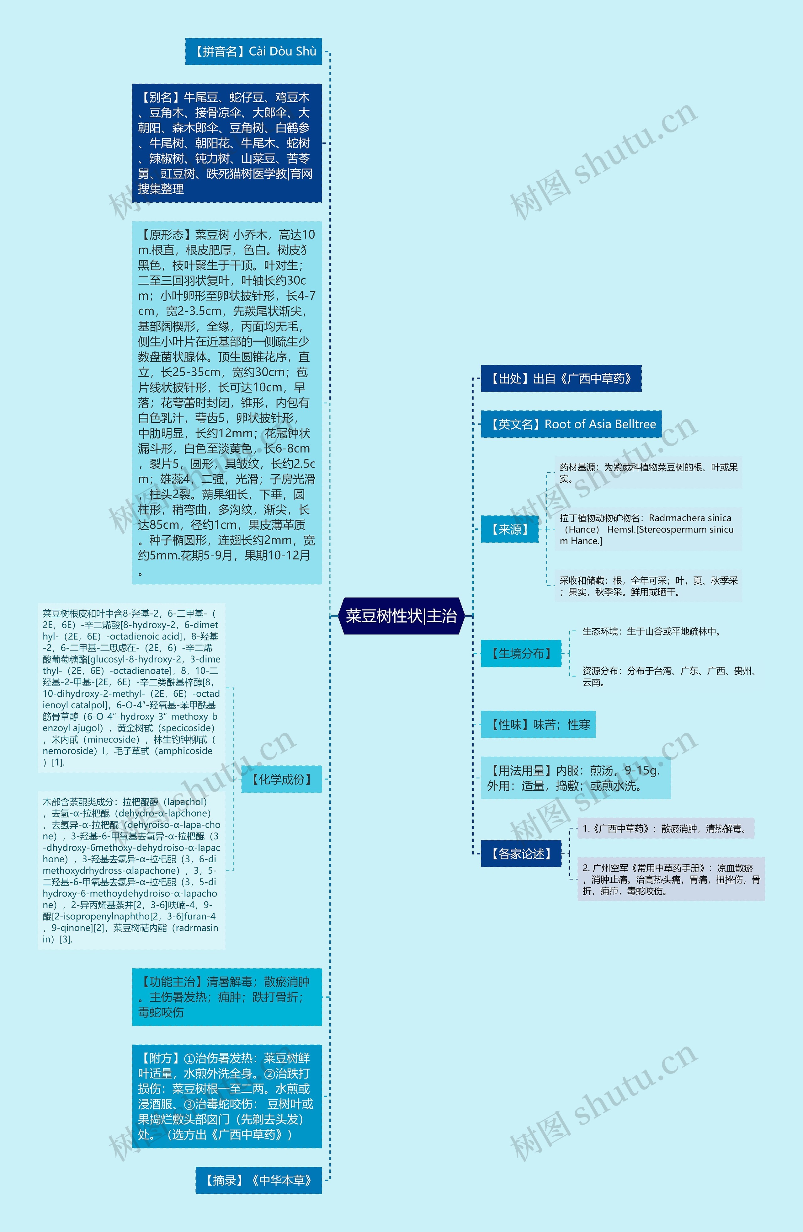 菜豆树性状|主治思维导图