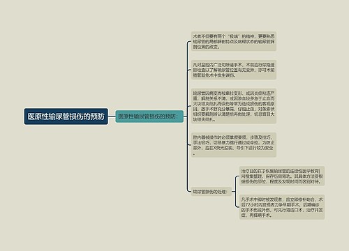 医原性输尿管损伤的预防