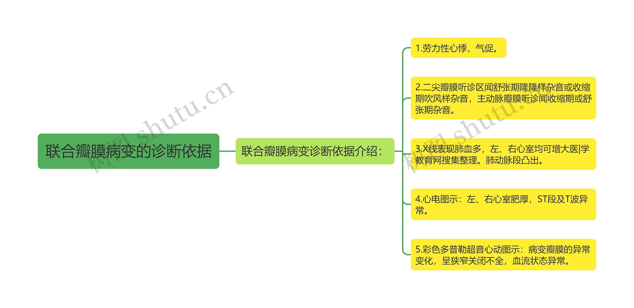 联合瓣膜病变的诊断依据思维导图