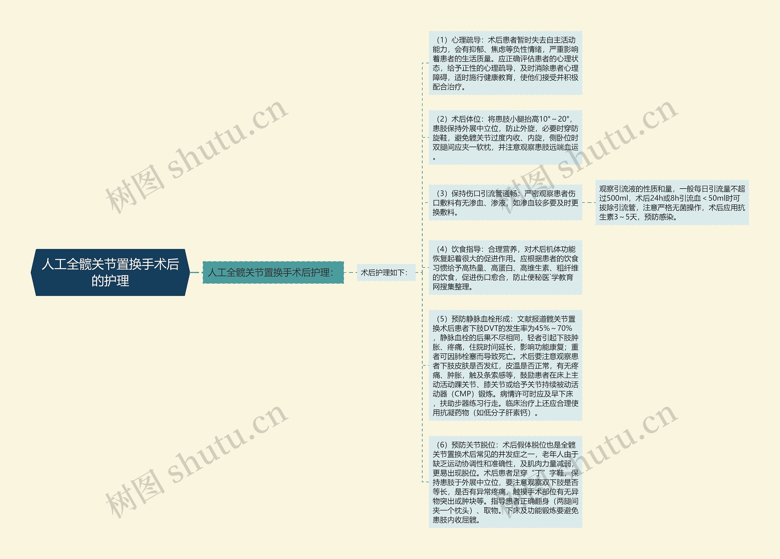 人工全髋关节置换手术后的护理思维导图