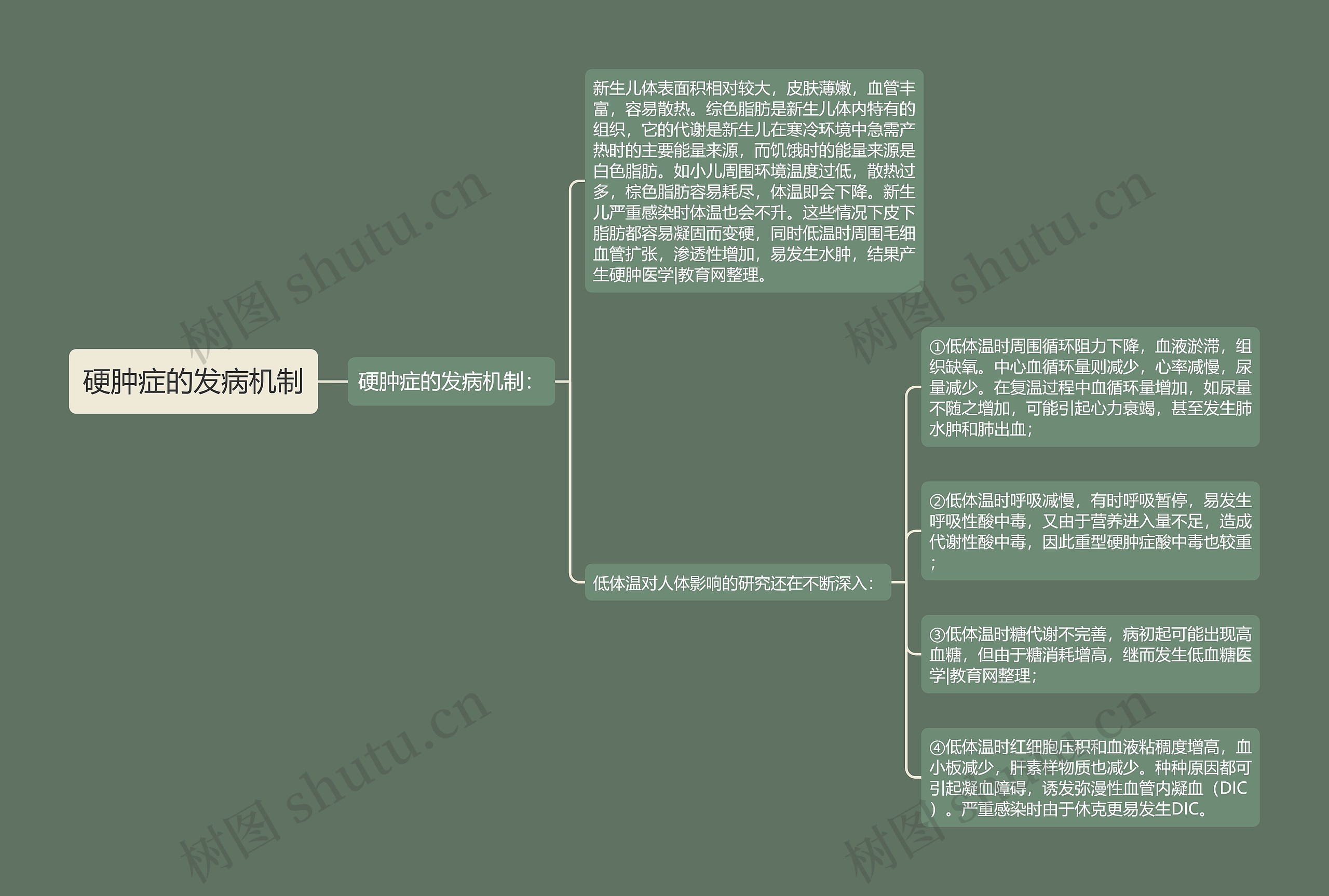 硬肿症的发病机制思维导图