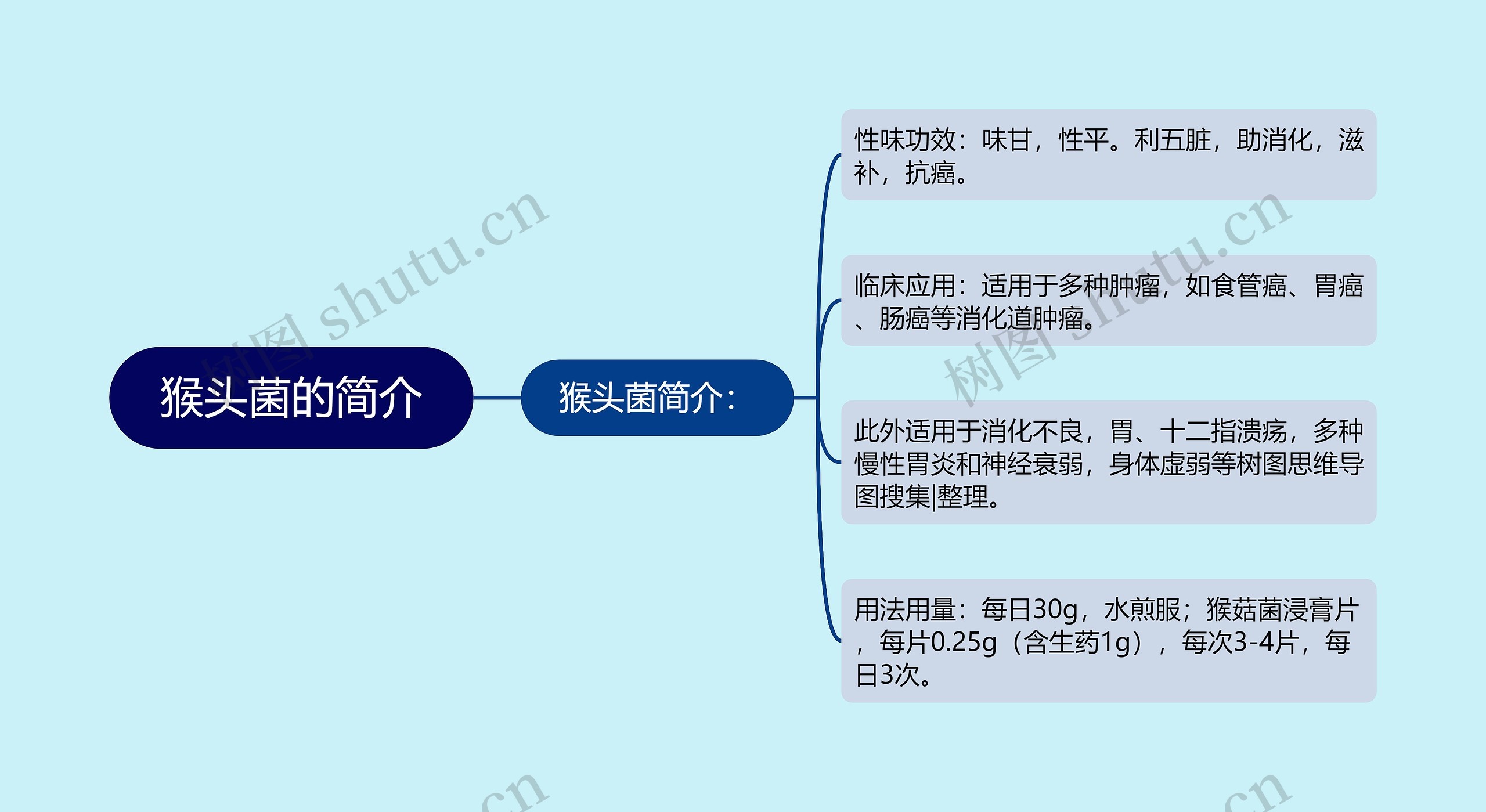 猴头菌的简介思维导图