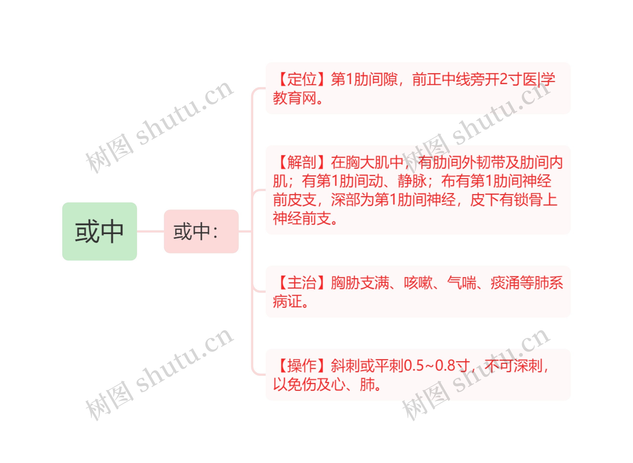 或中思维导图