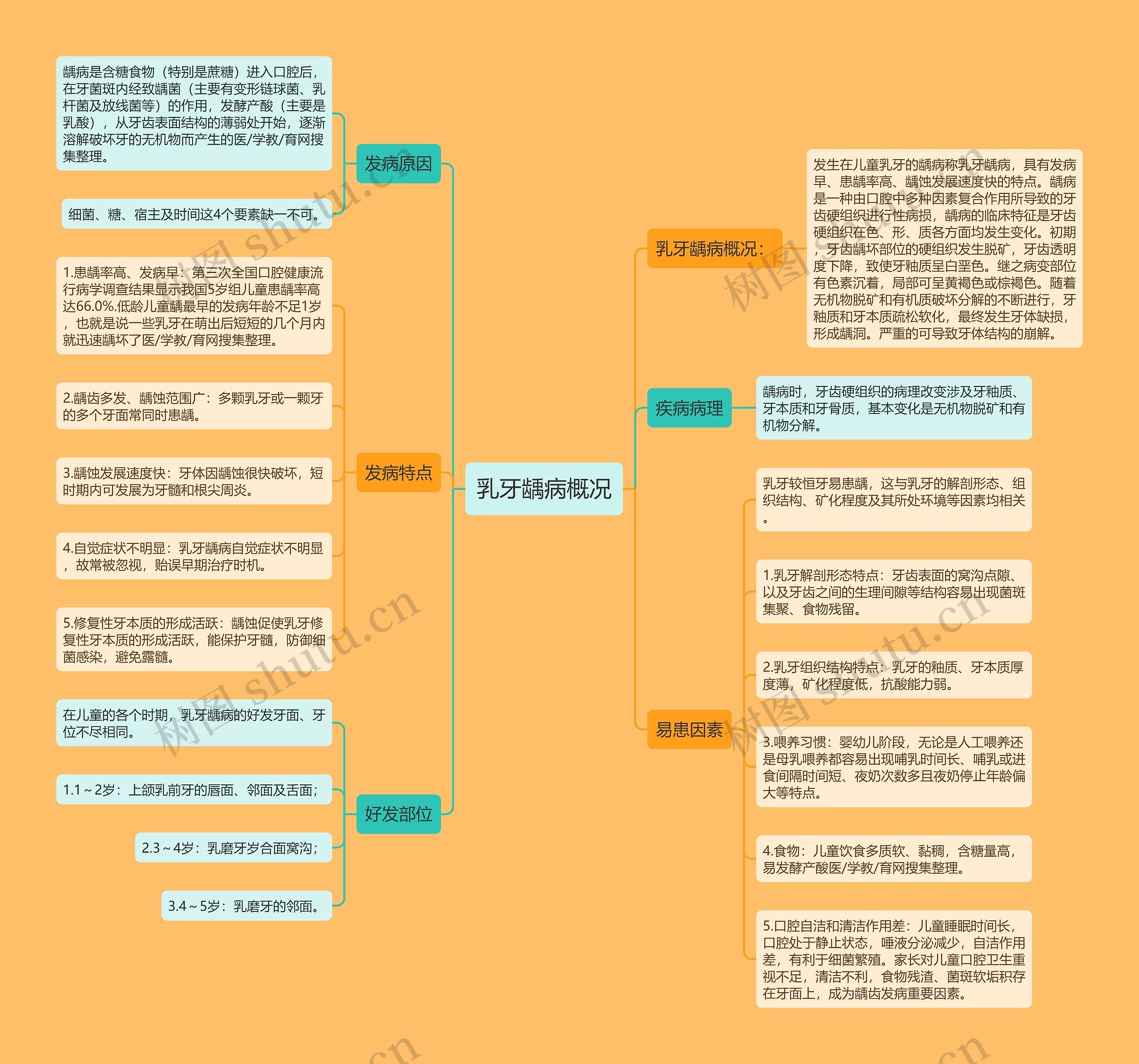 乳牙龋病概况