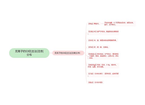 芜菁子的归经|主治|注意|分布