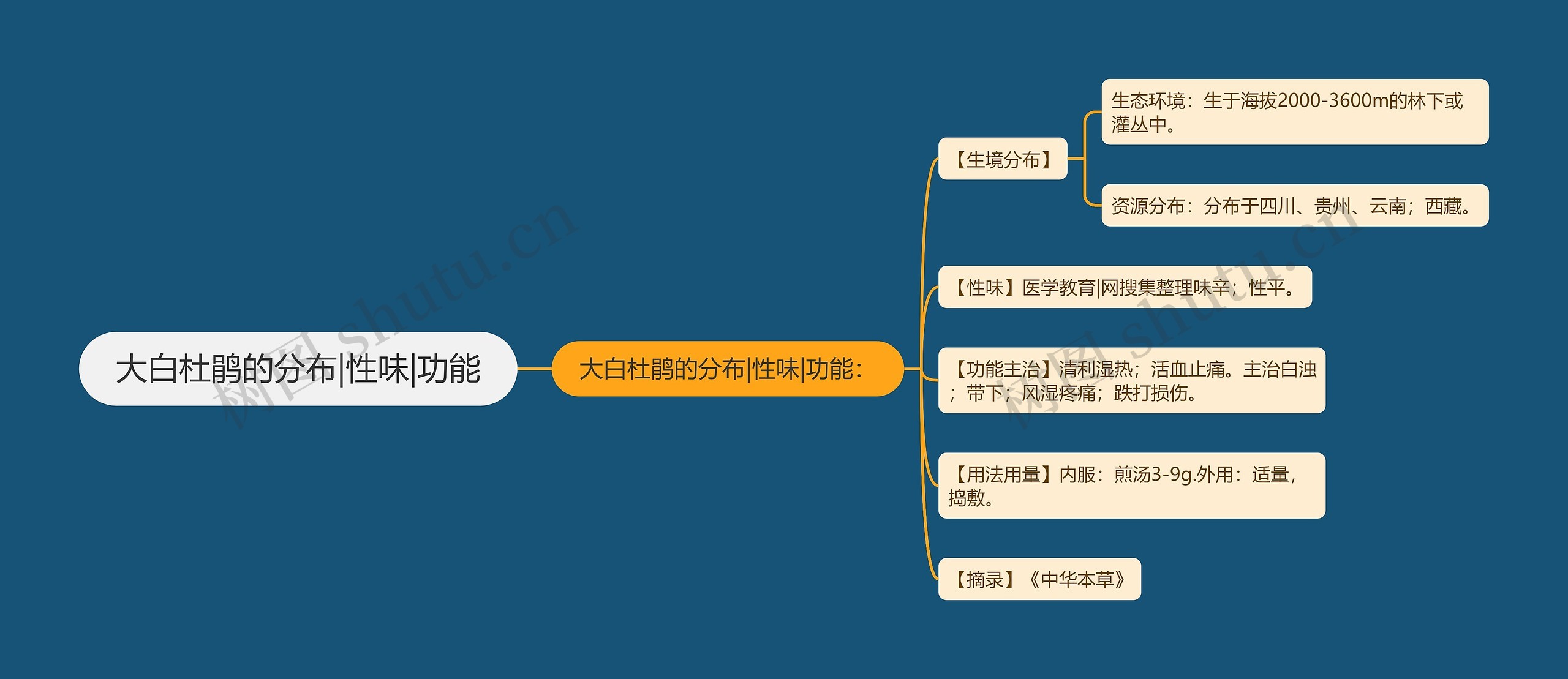 大白杜鹃的分布|性味|功能 大白杜鹃的分布|性味|功能