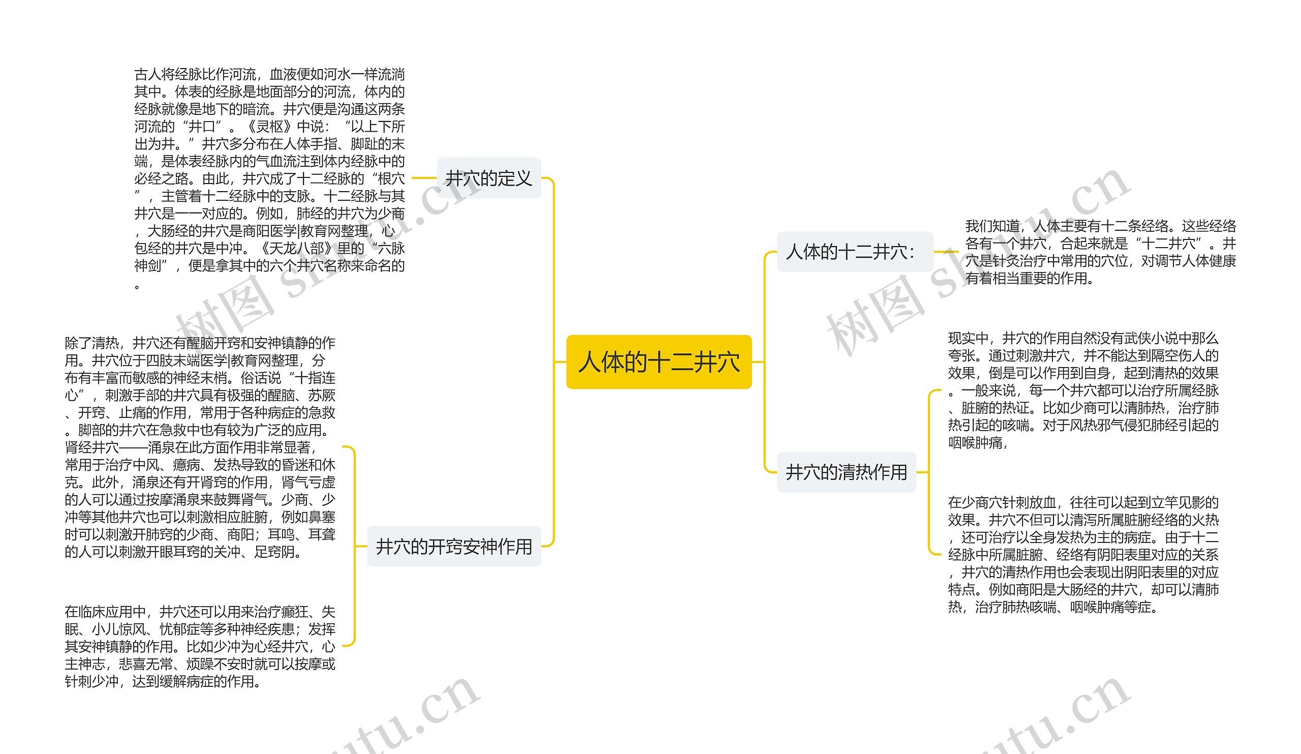人体的十二井穴 人体的十二井穴