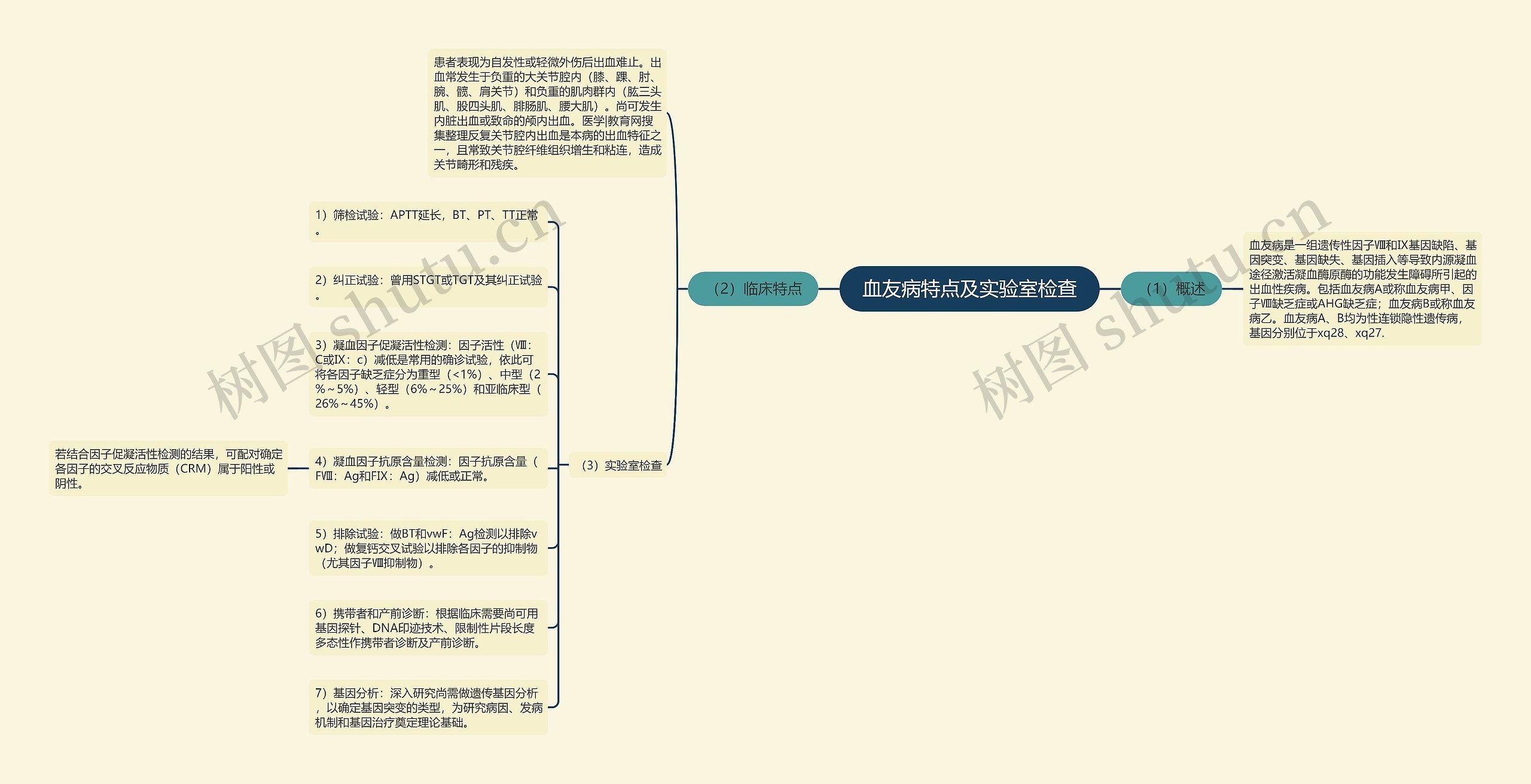 血友病特点及实验室检查思维导图