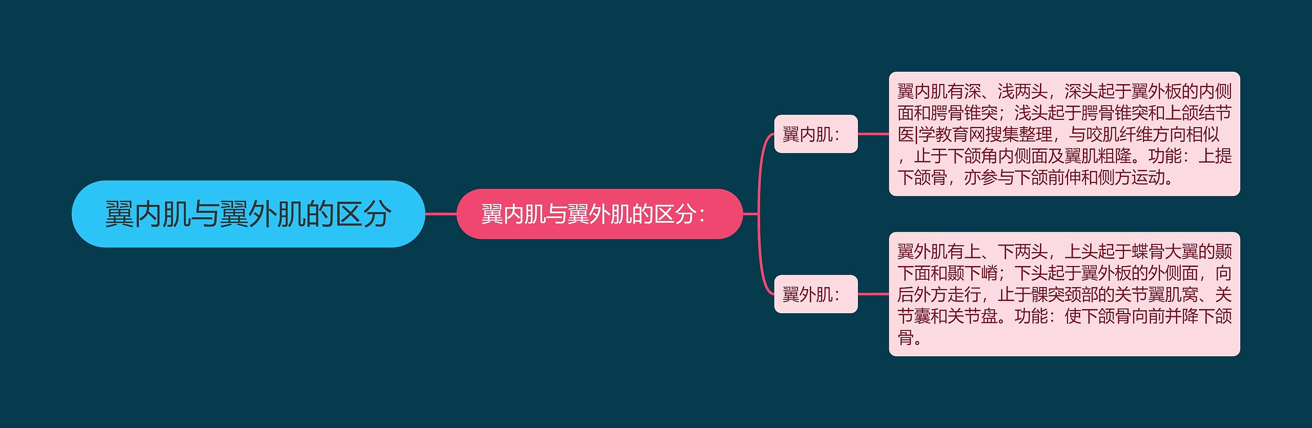 翼内肌与翼外肌的区分 翼内肌与翼外肌的区分