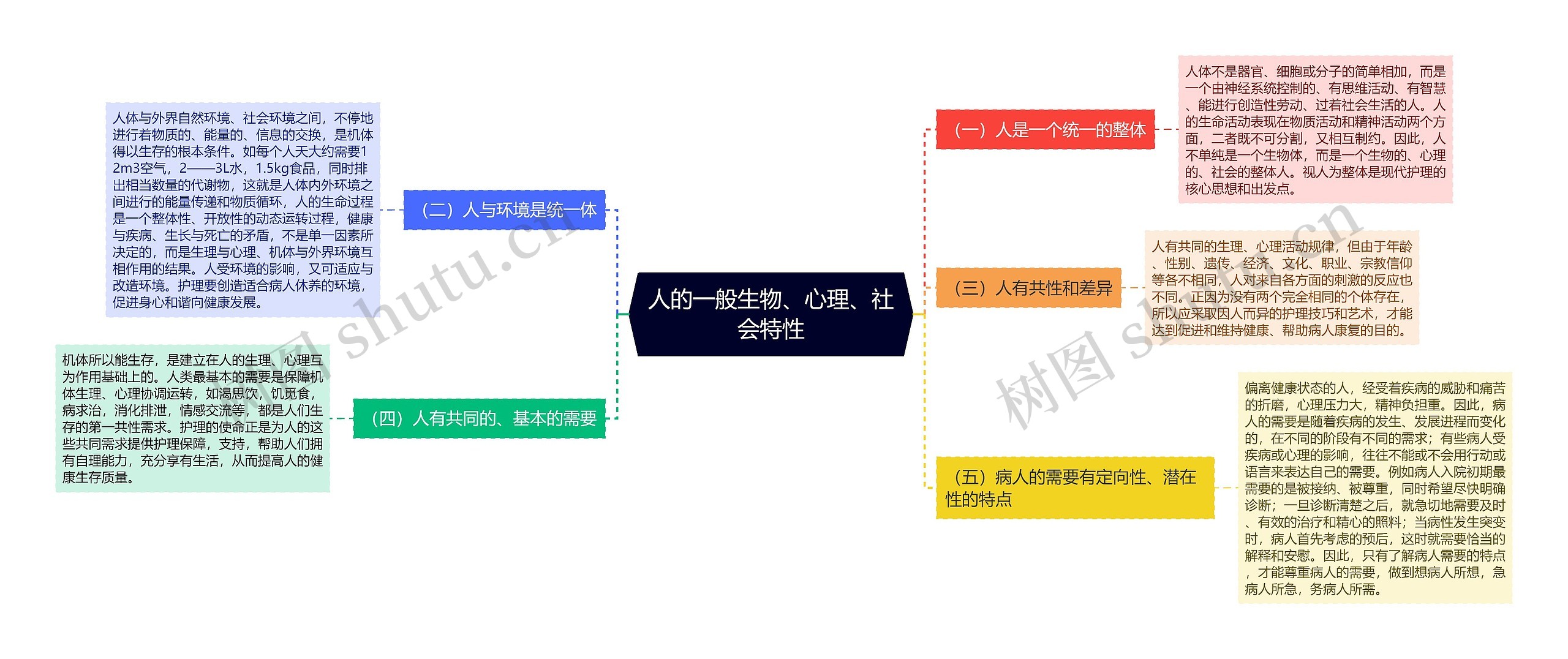 人的一般生物、心理、社会特性思维导图