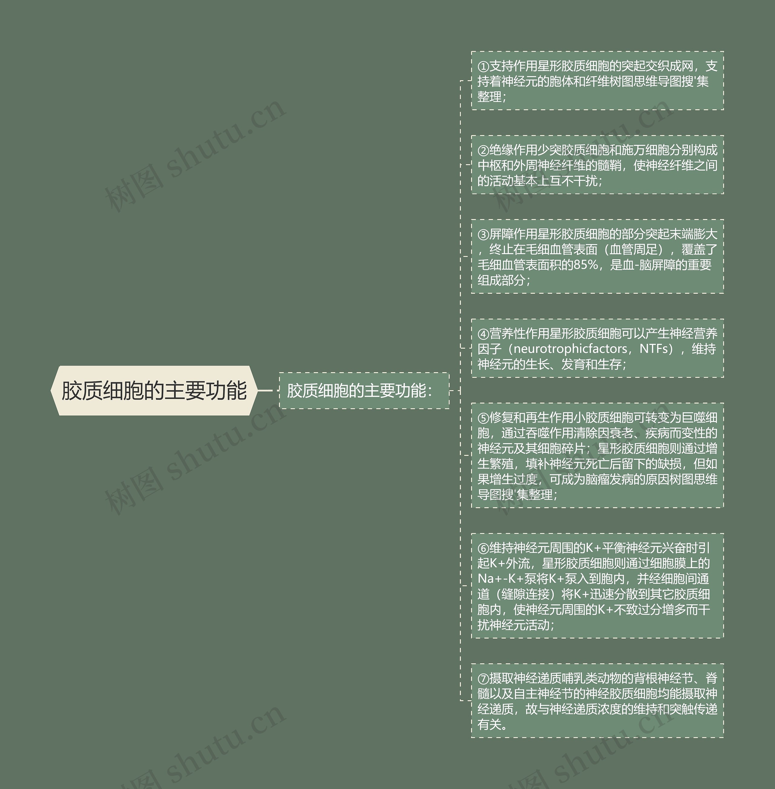胶质细胞的主要功能 胶质细胞的主要功能