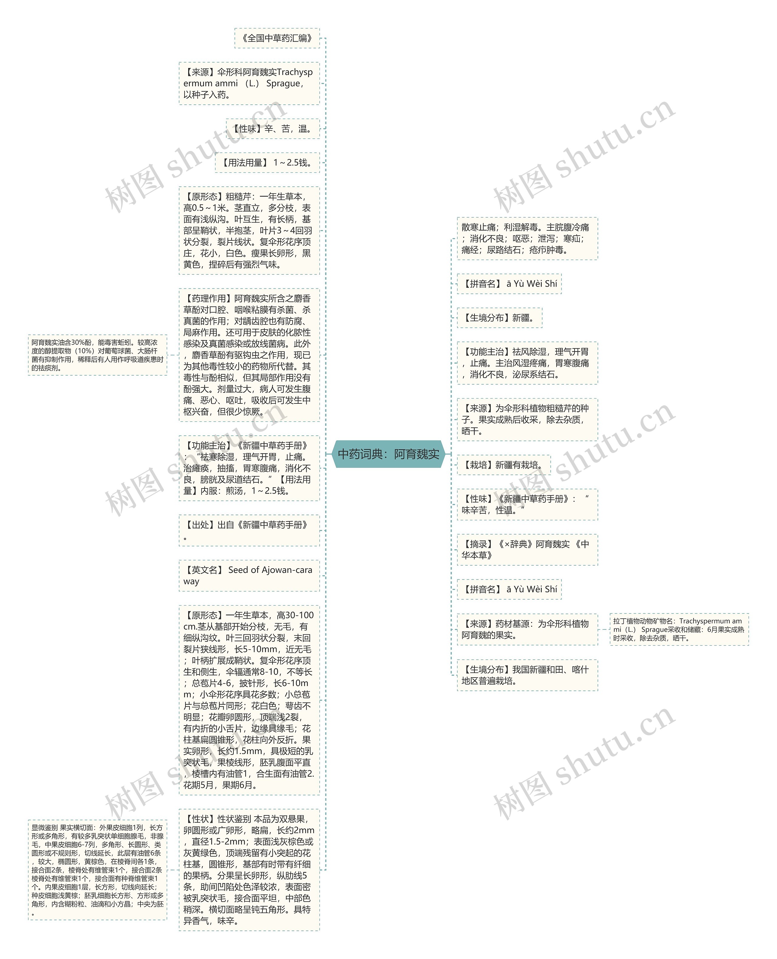 中药词典：阿育魏实