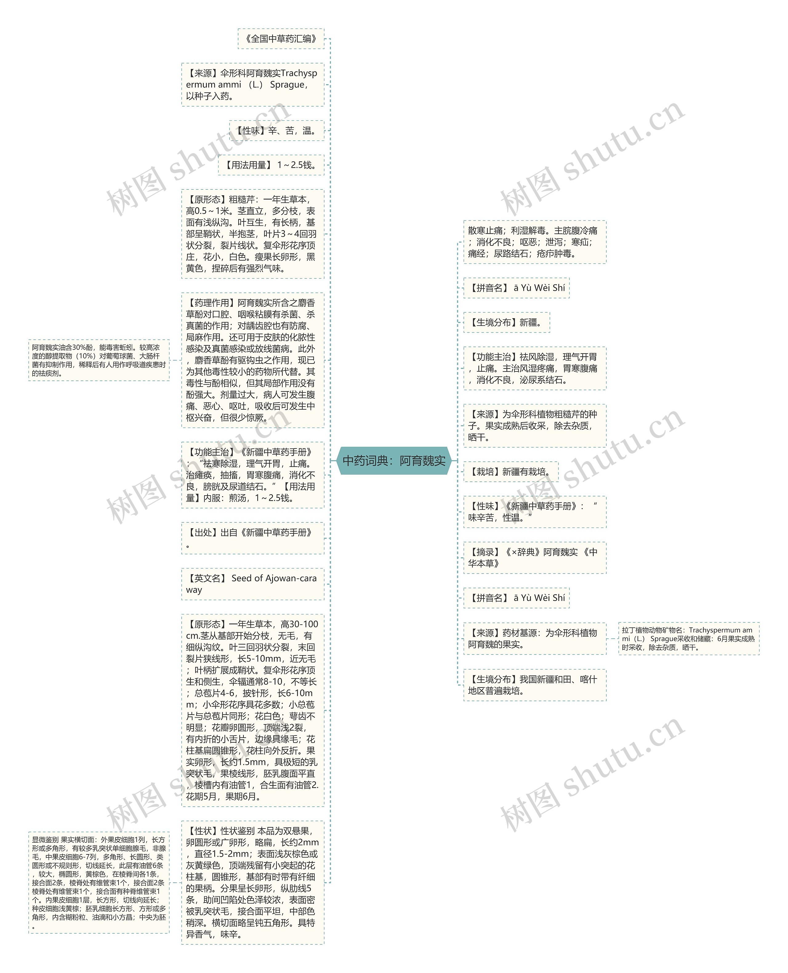 中药词典：阿育魏实思维导图