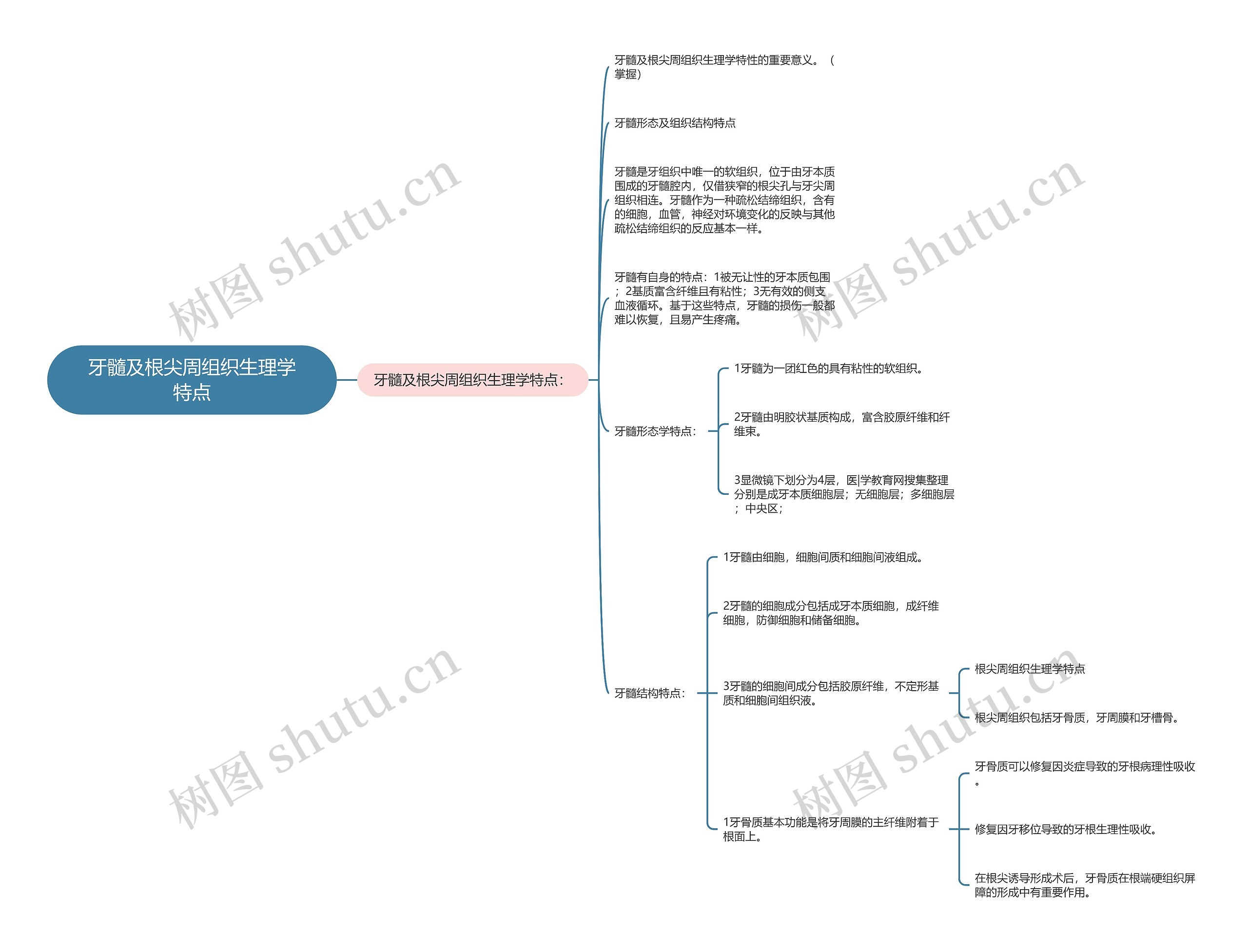 牙髓及根尖周组织生理学特点思维导图