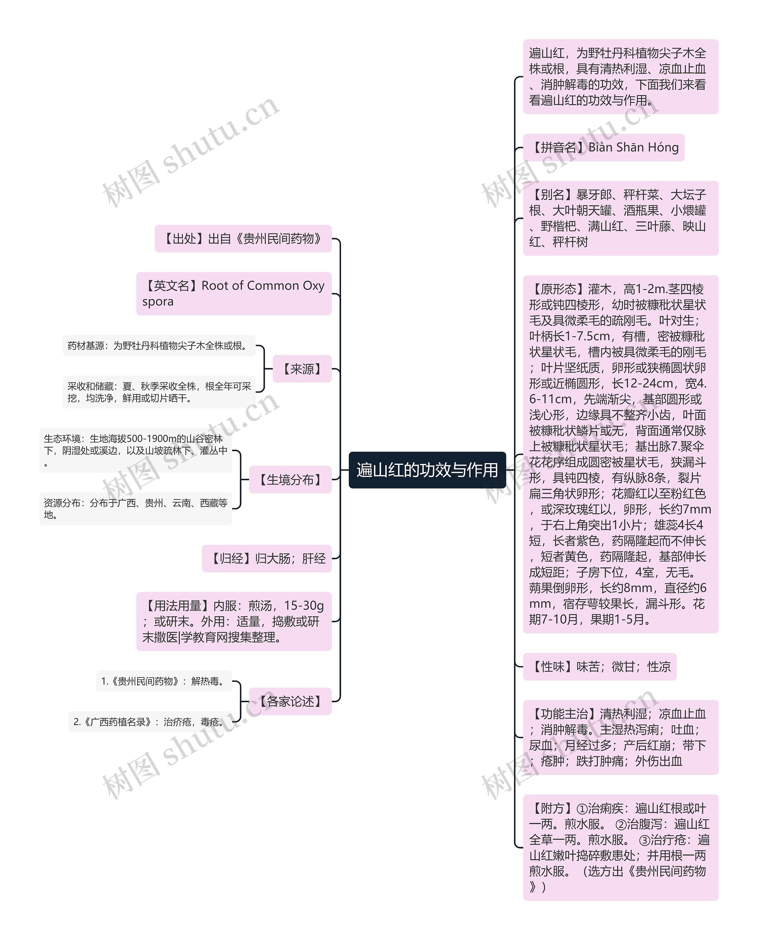 遍山红的功效与作用思维导图