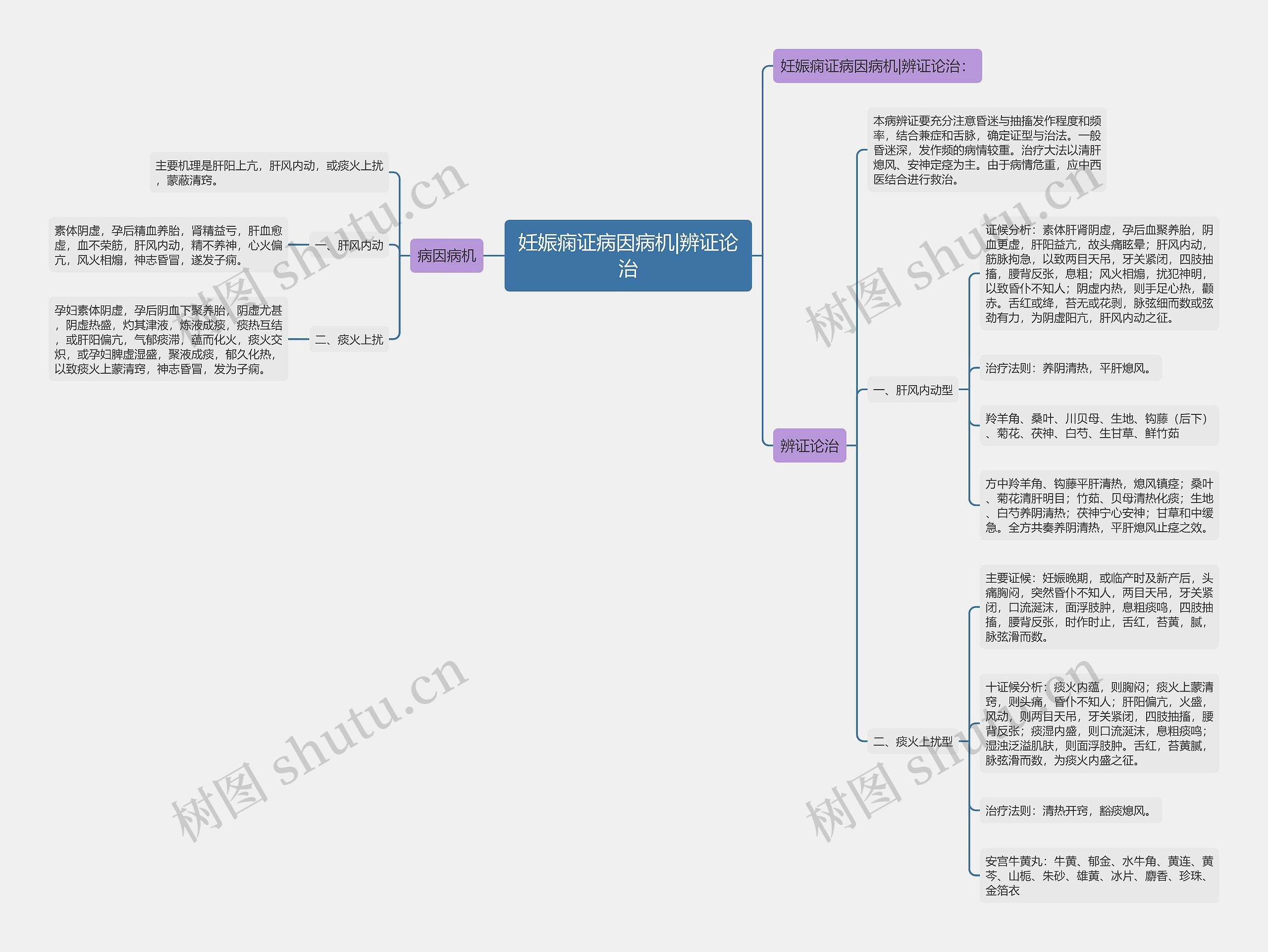 妊娠痫证病因病机|辨证论治思维导图