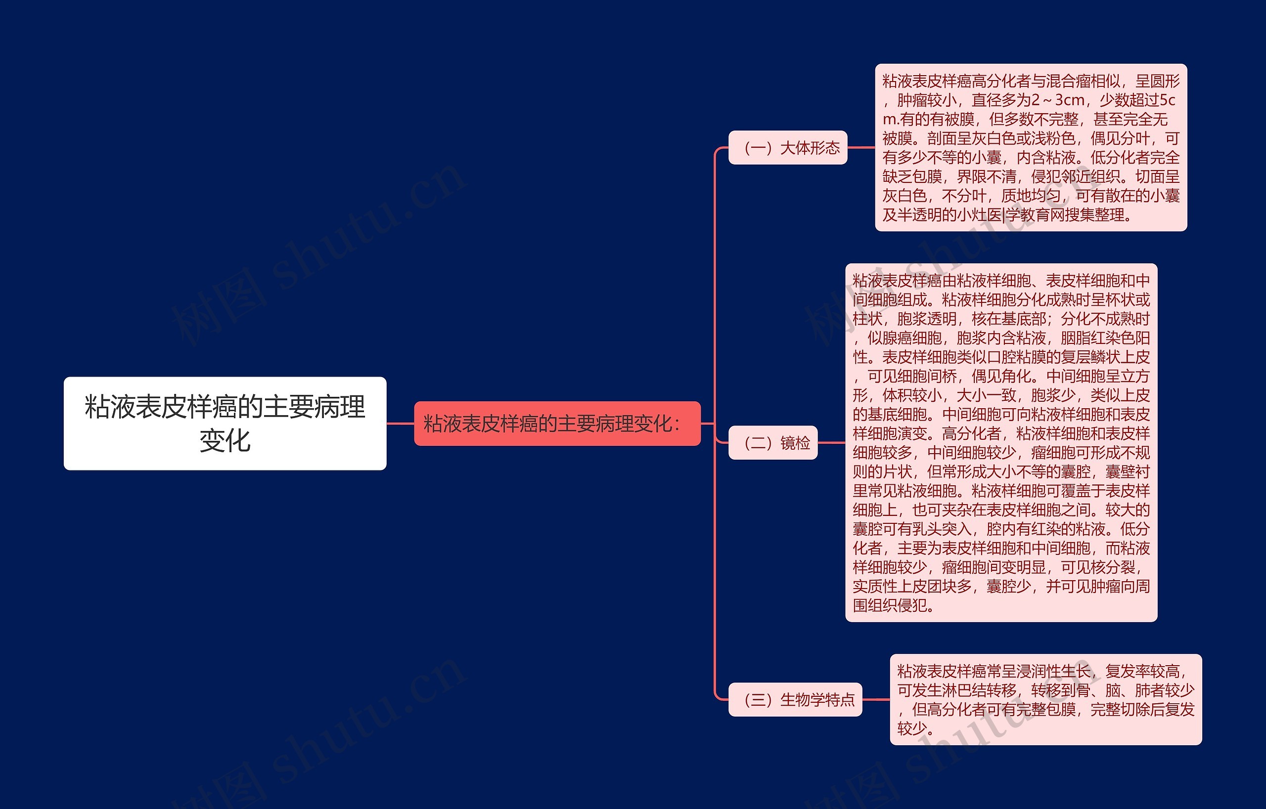 粘液表皮样癌的主要病理变化思维导图