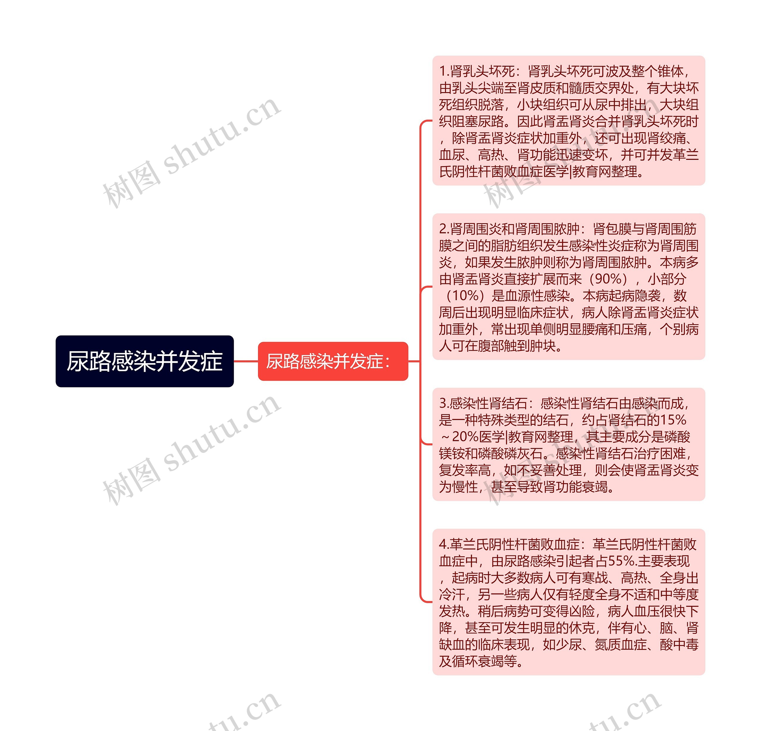 尿路感染并发症思维导图